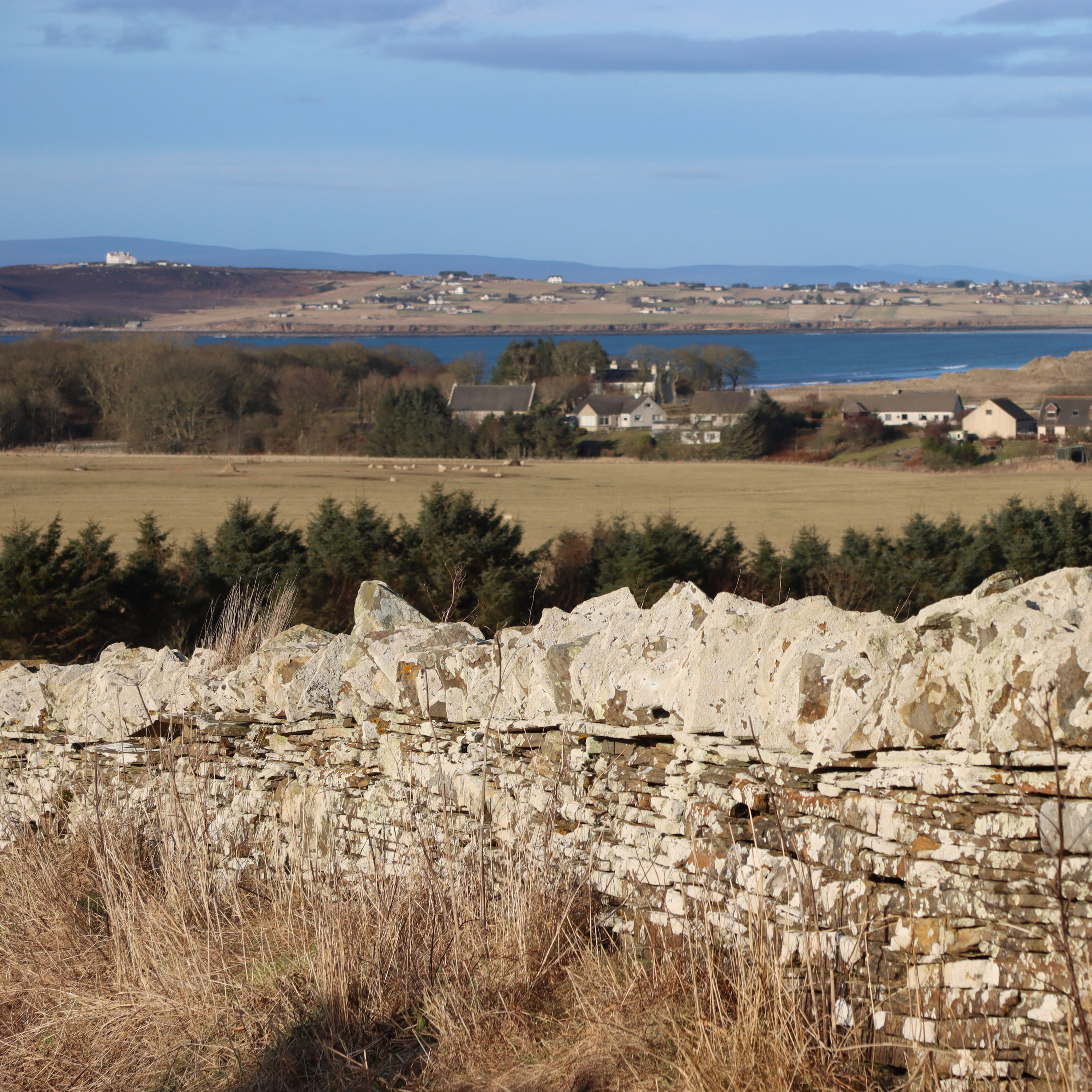 Olrig Observations