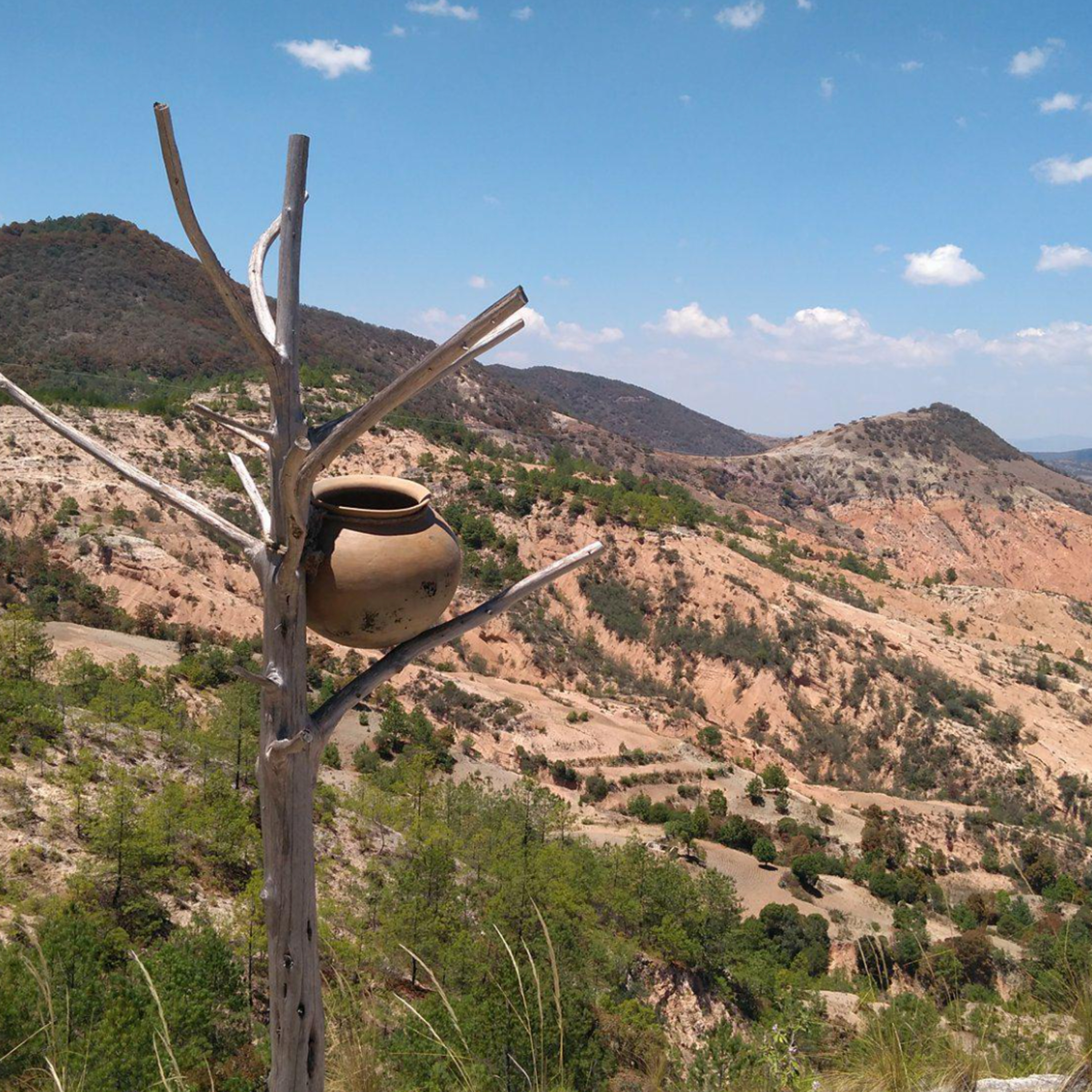 Landuum Paisaje