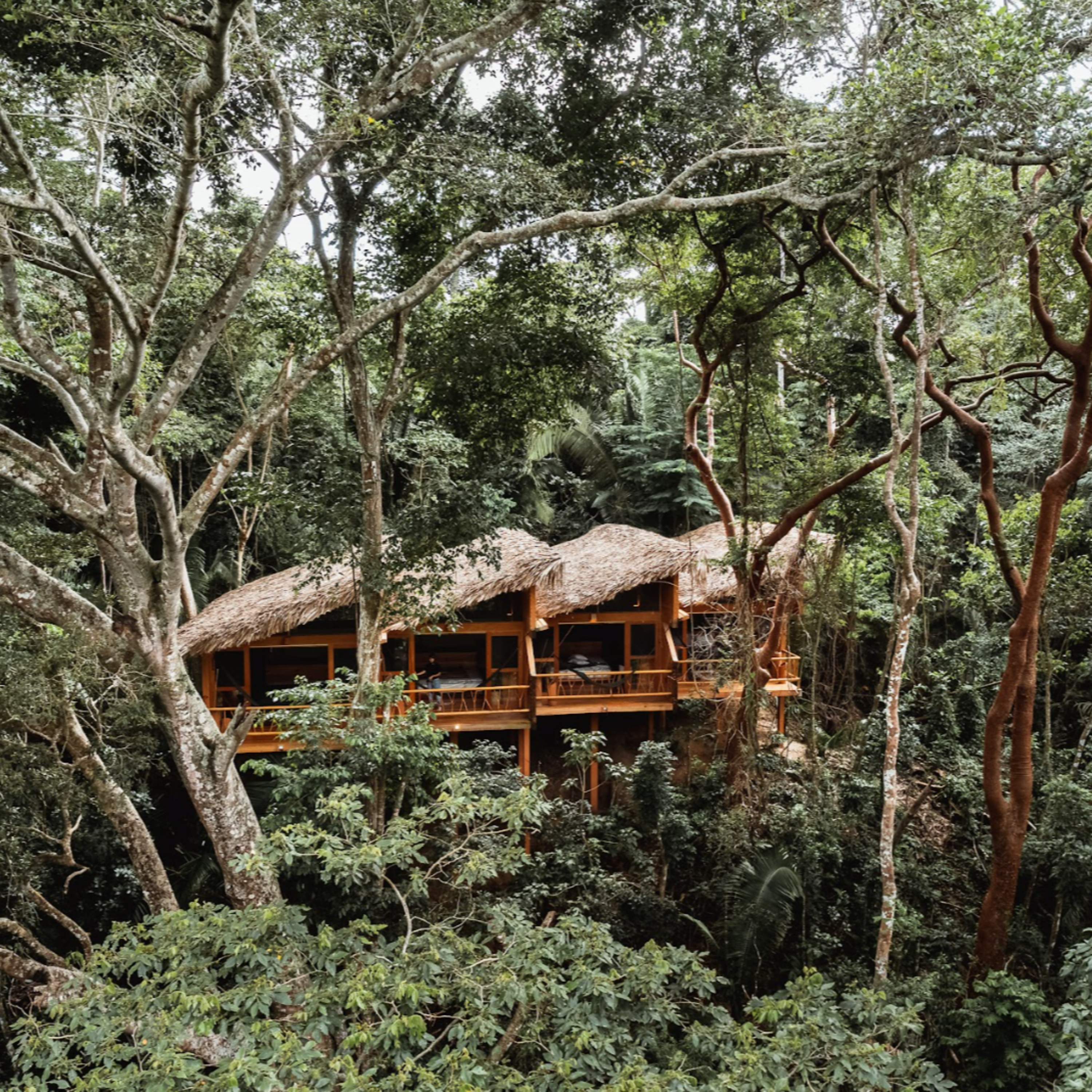 Landuum Paisaje
