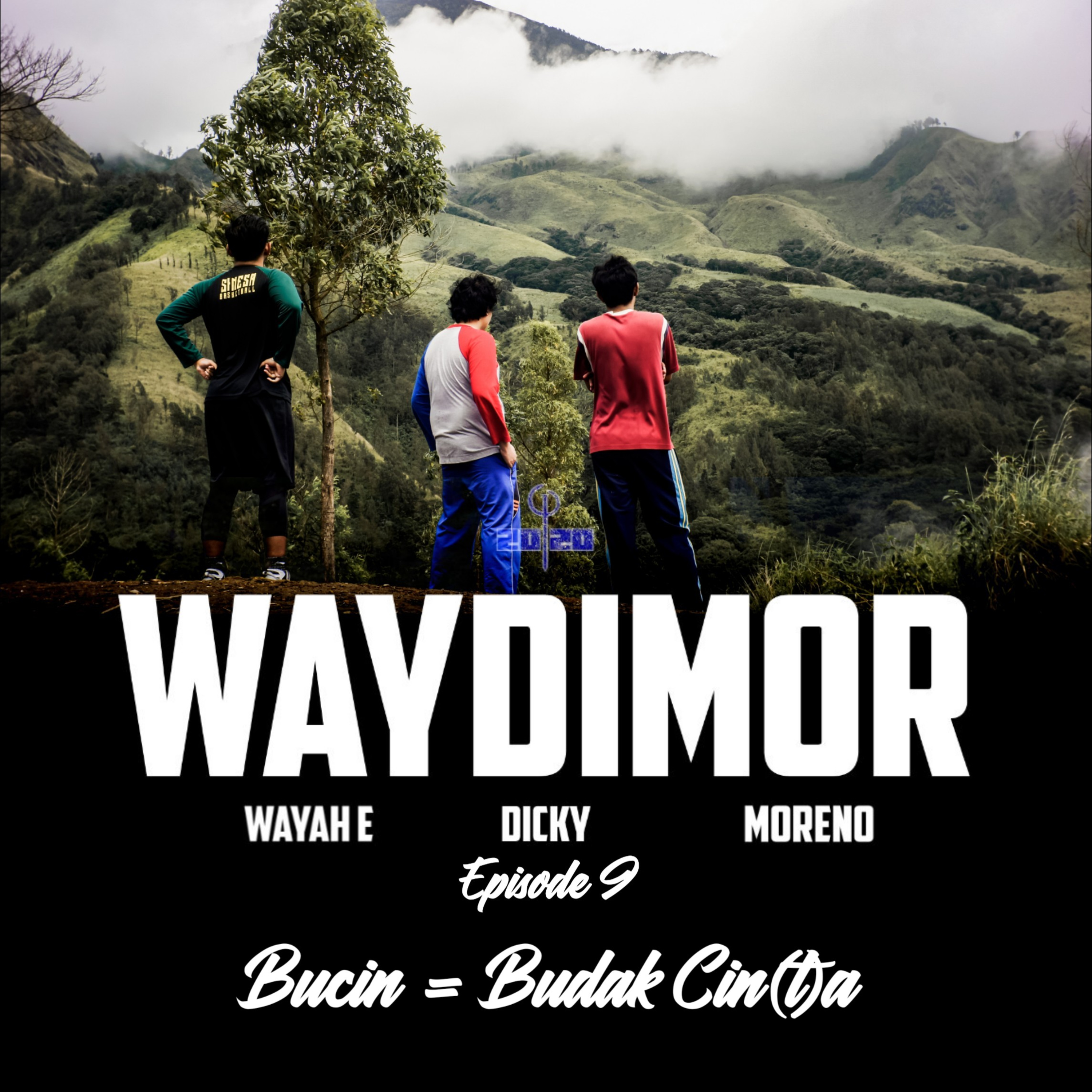 WAYDIMOR