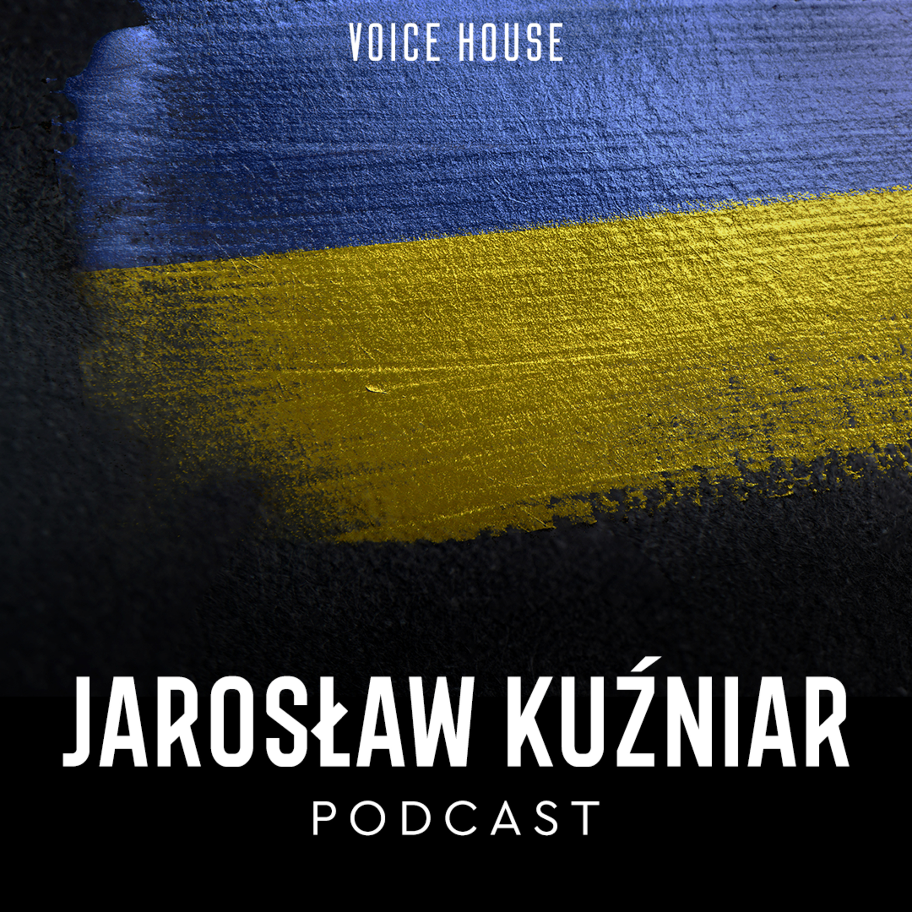 Ukraine in brief SHORT #293 episode artwork