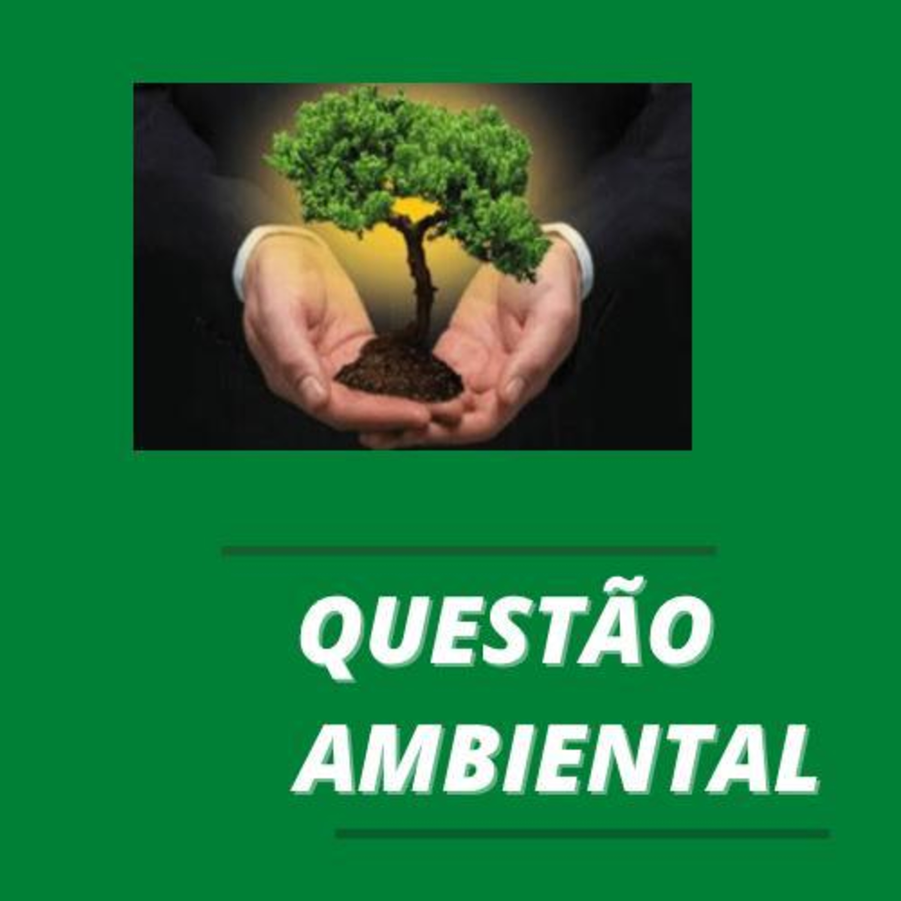 Questão ambiental e suas características