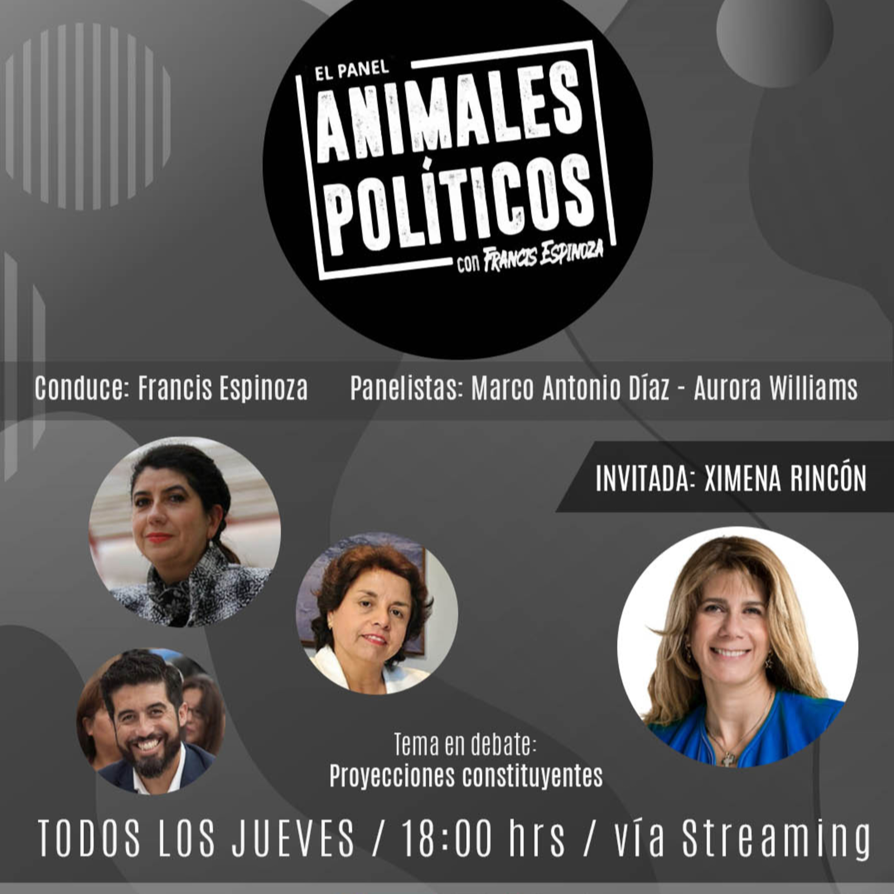 Animales Políticos