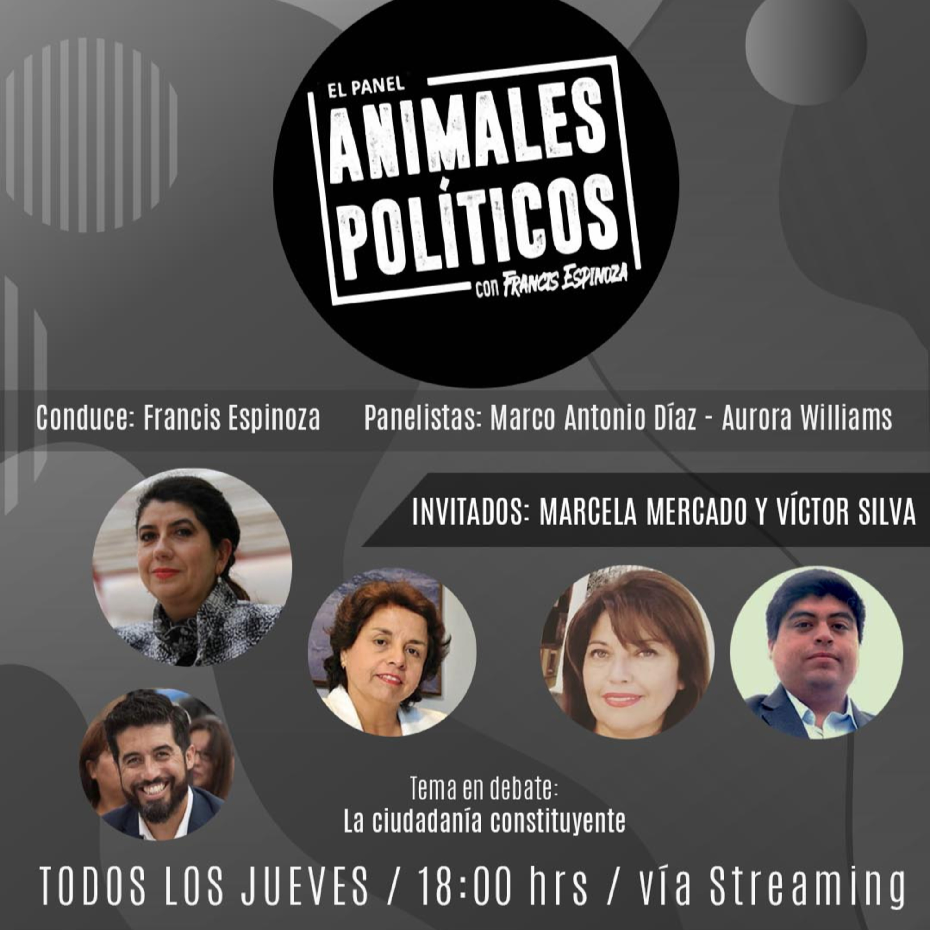 Animales Políticos