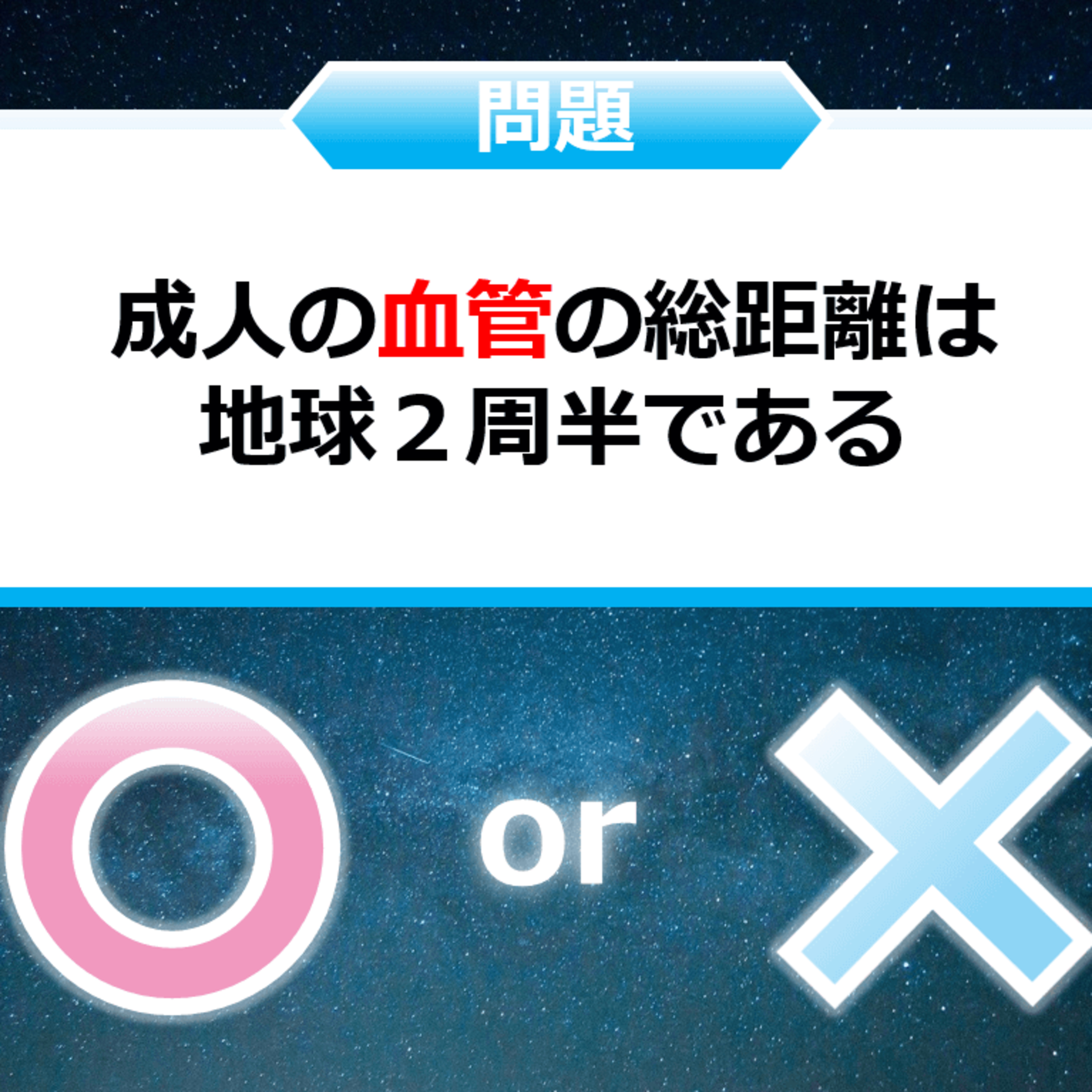 クイズ２択王｜人体の雑学｜血管 episode artwork