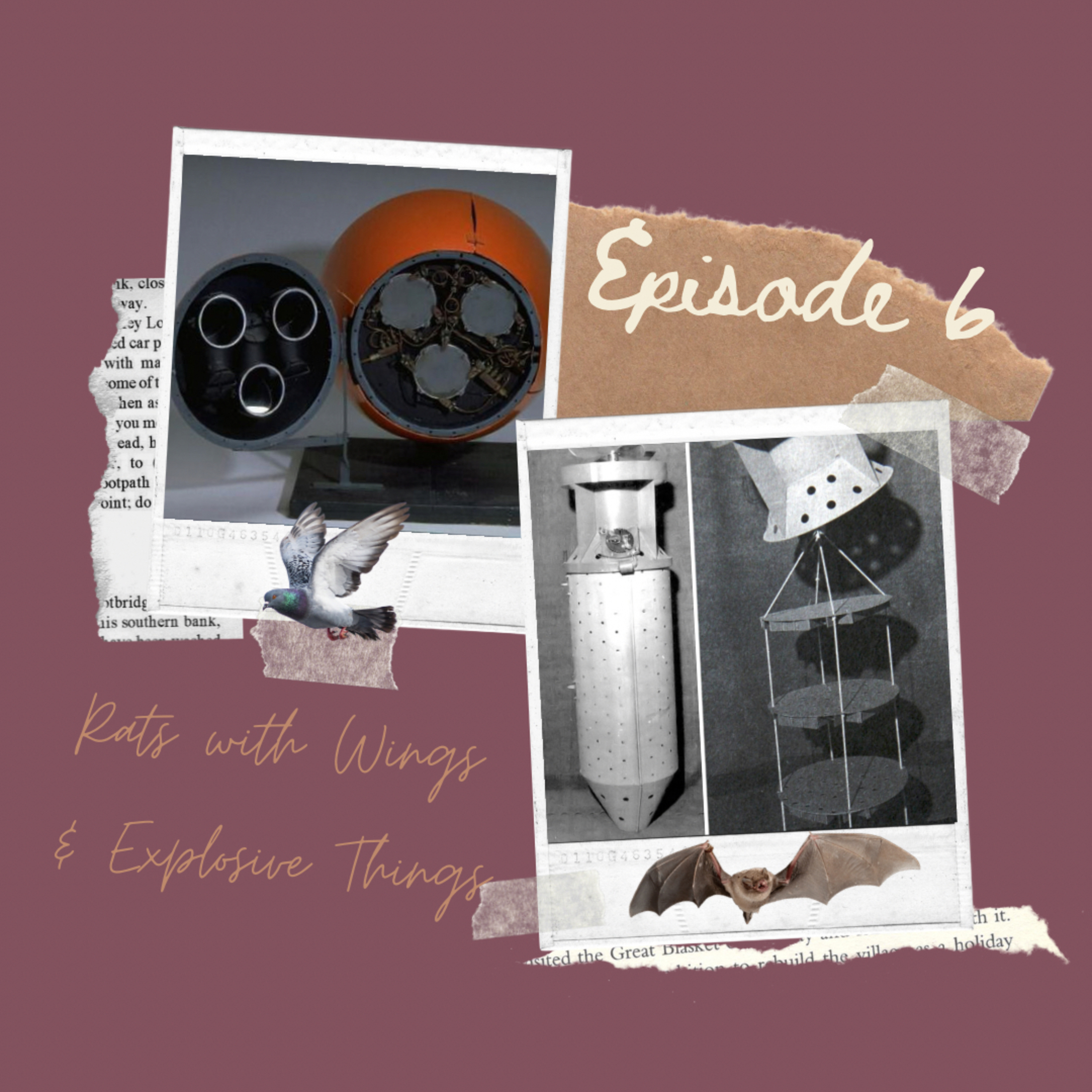 Historically Accurate