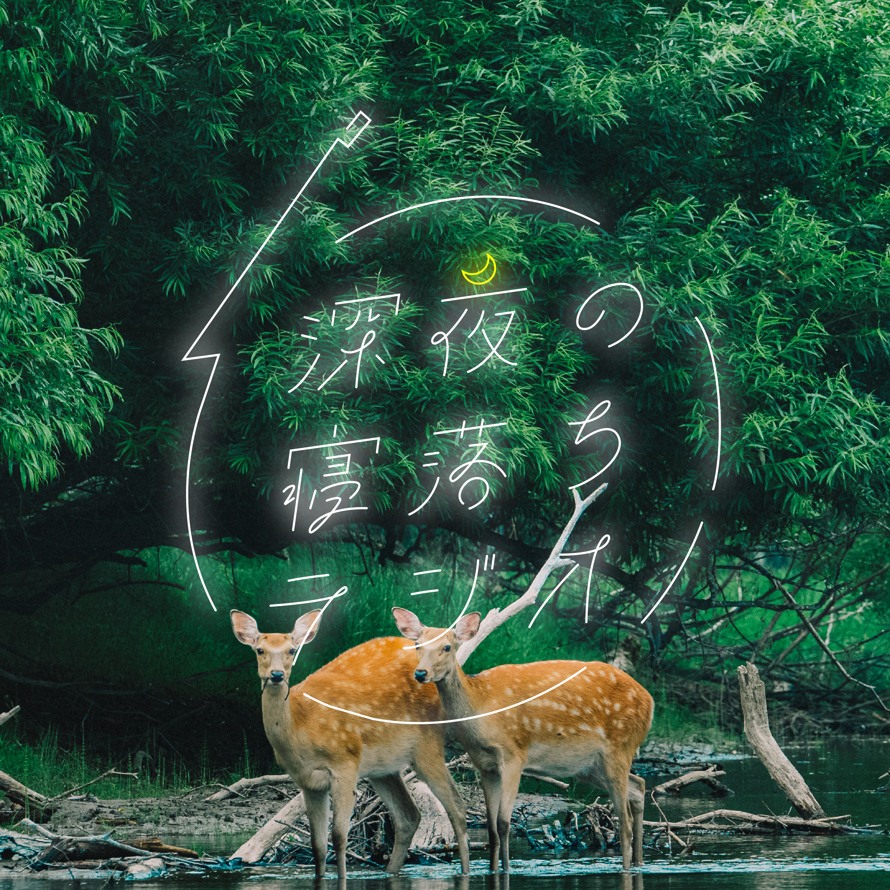 #77 Day4-1 これで僕らもカヌーイスト(#ezolympic2020) episode artwork