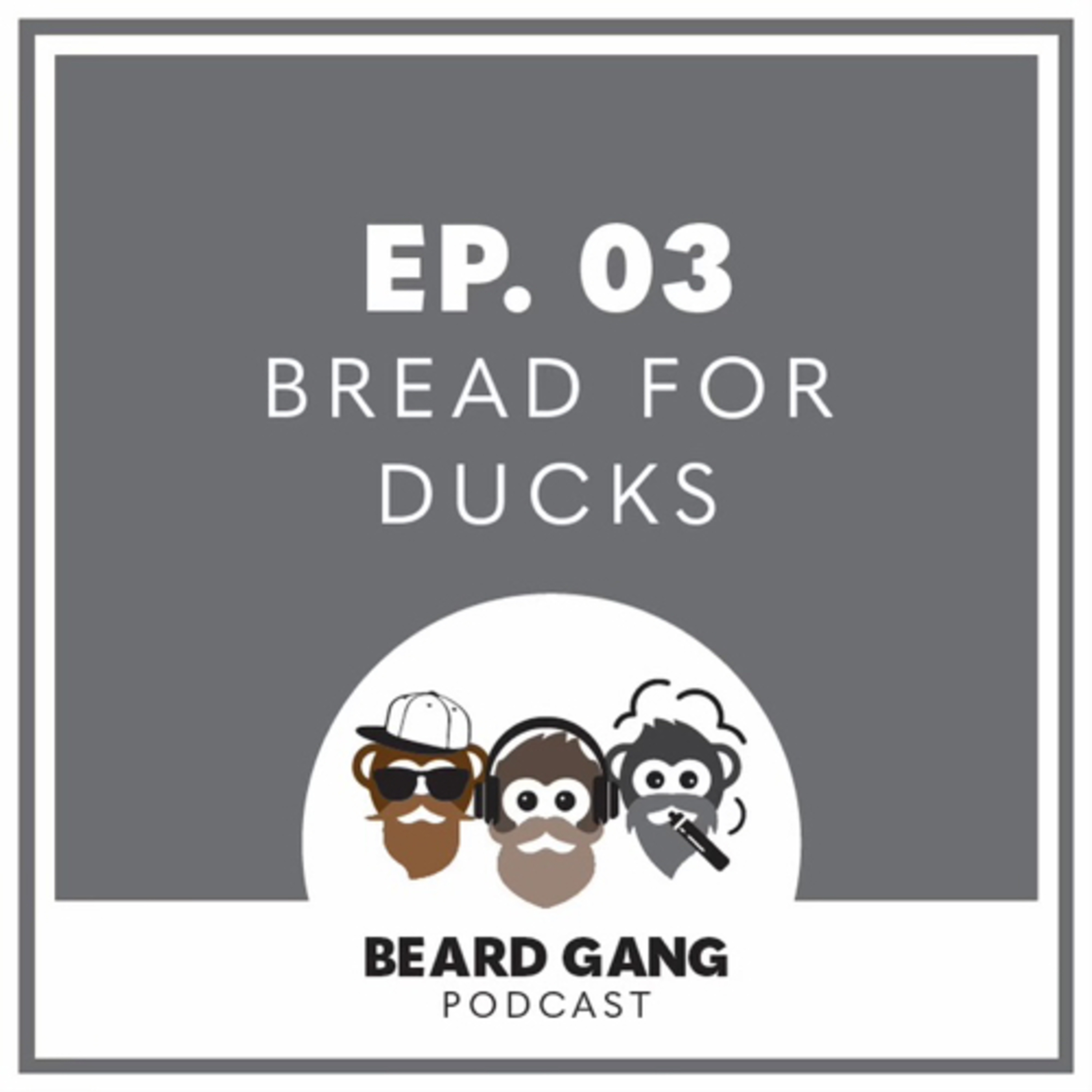 “Bread for ducks 🦆” episode artwork