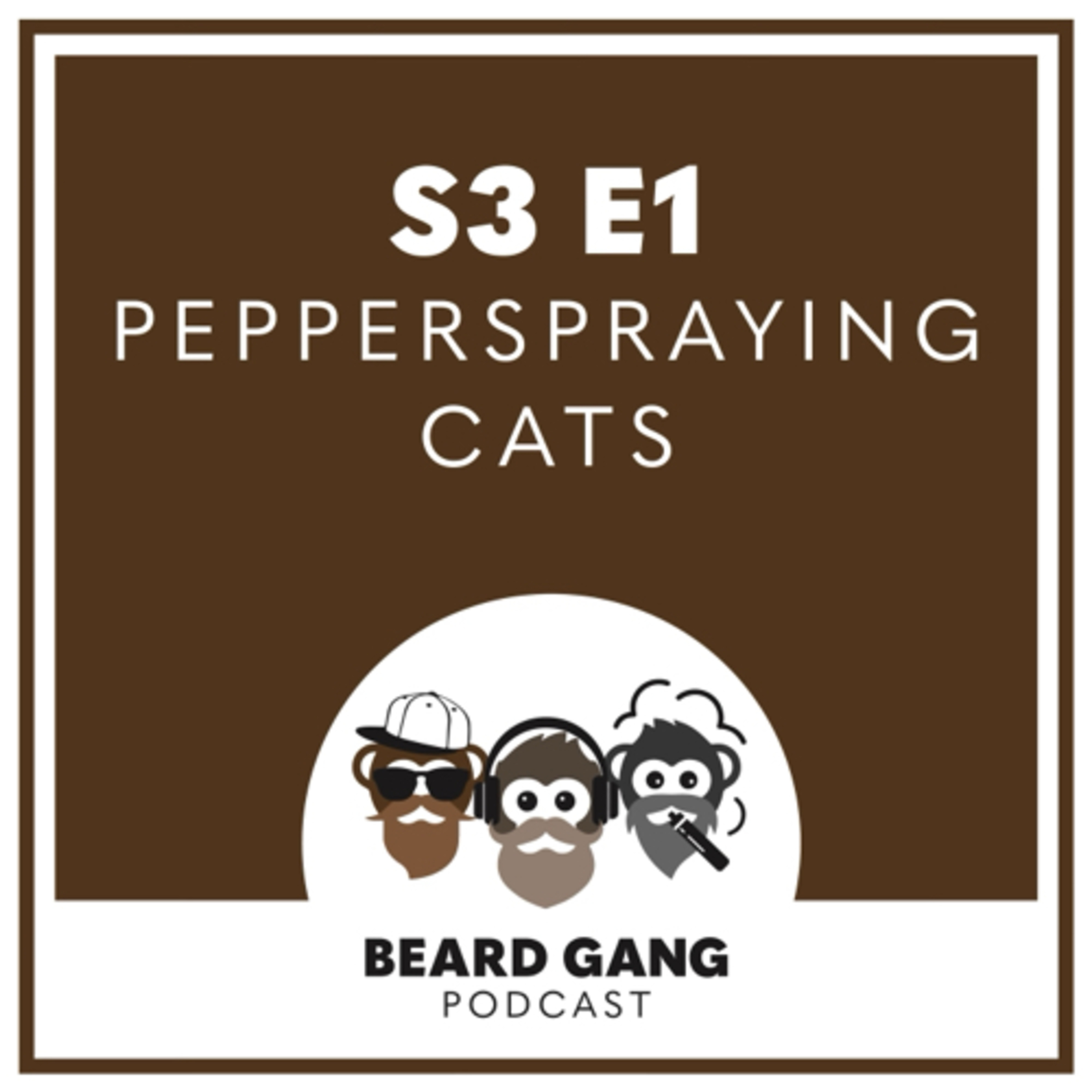 Pepper spraying cats 🐈 episode artwork
