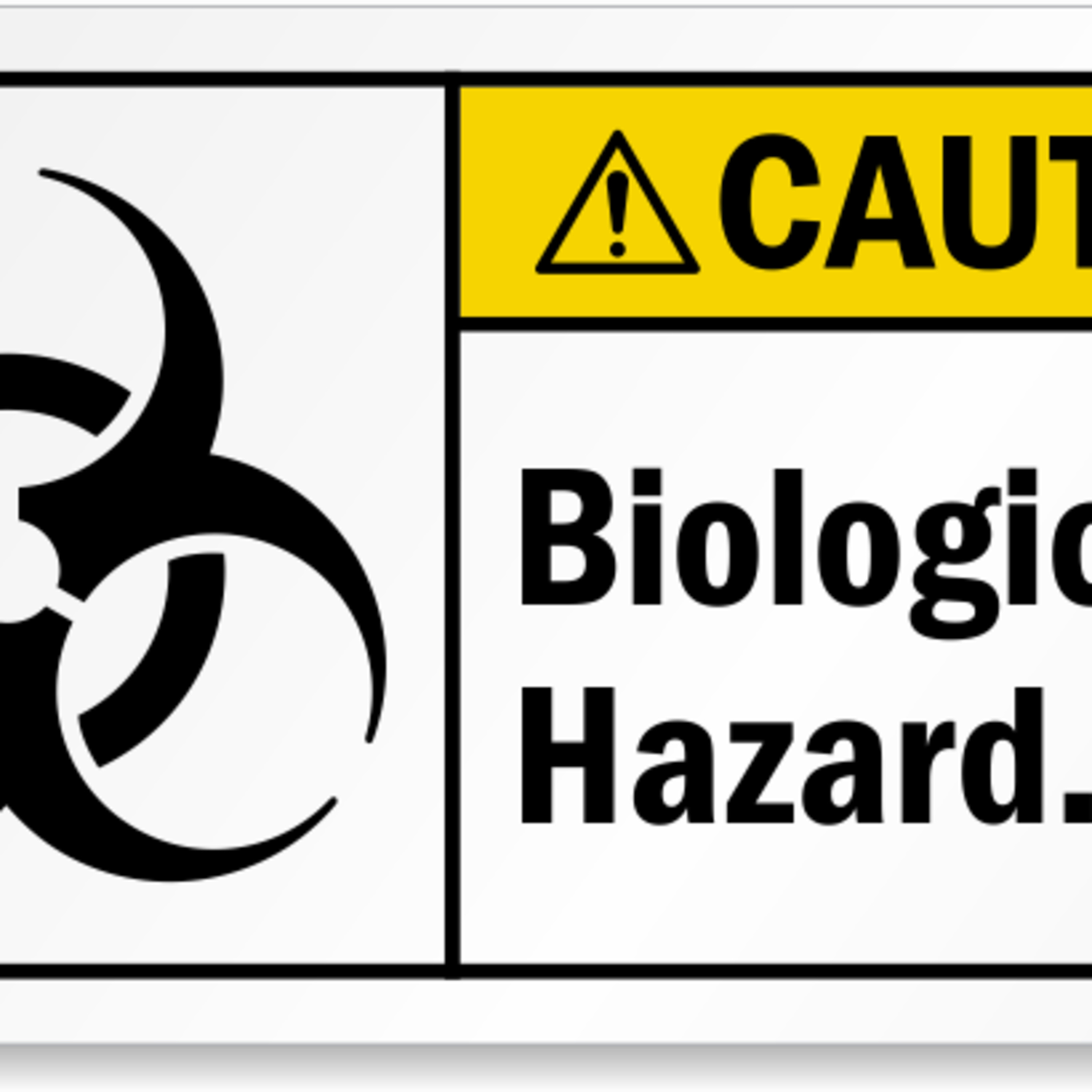 Center for Eurasian Studies (AVİM)