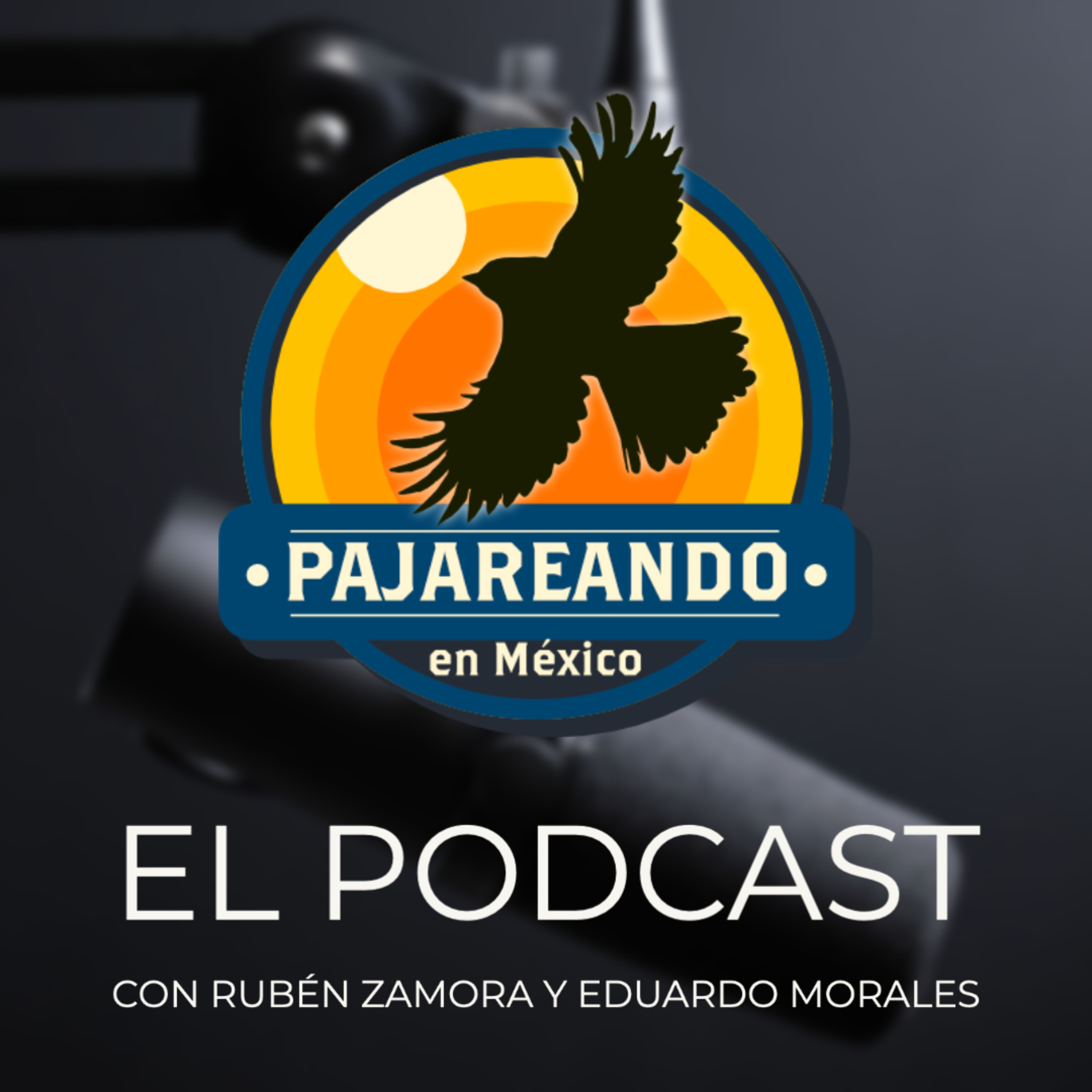 Portada de Pajareando en México