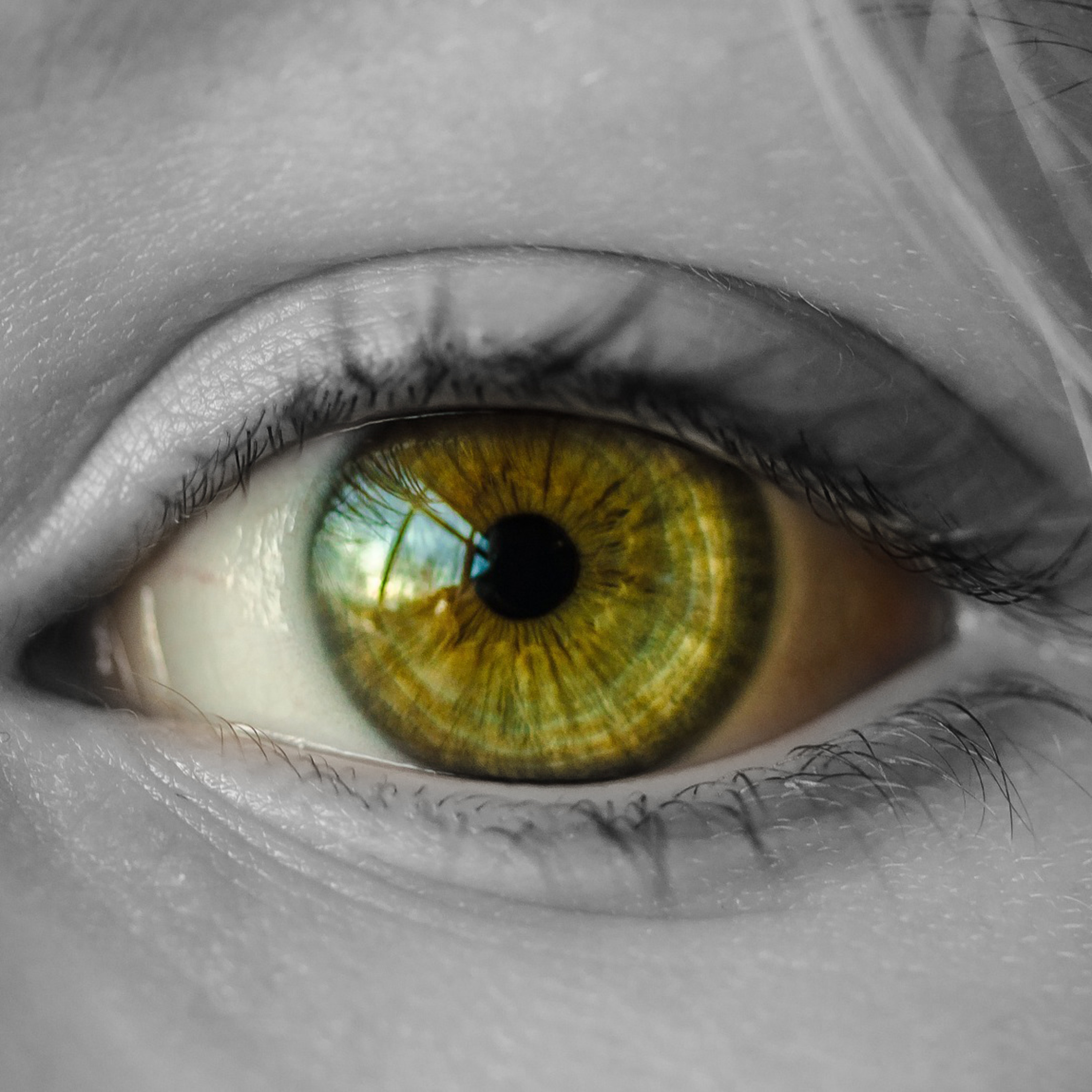 EL TREN SIN PASAJEROS- Temporada Tres