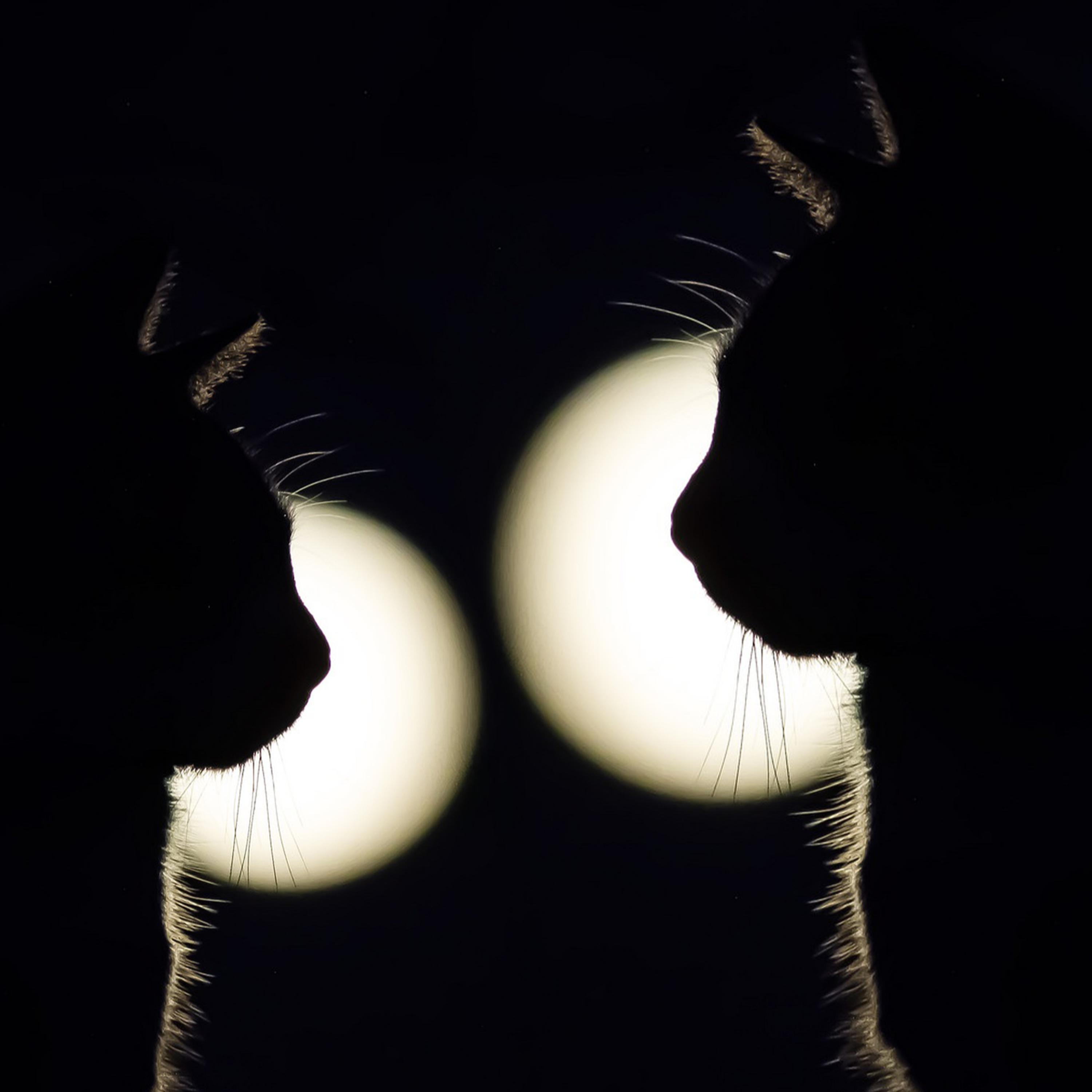 EL TREN SIN PASAJEROS- Temporada Tres