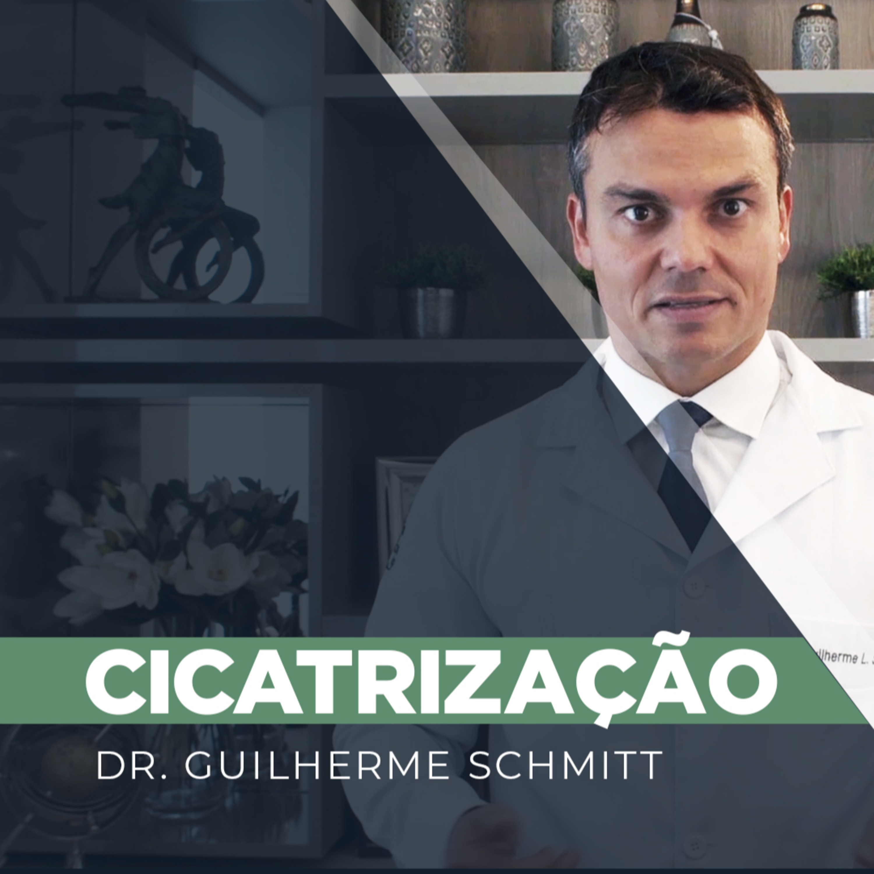 Guilherme Schmitt - Cirurgião Plástico