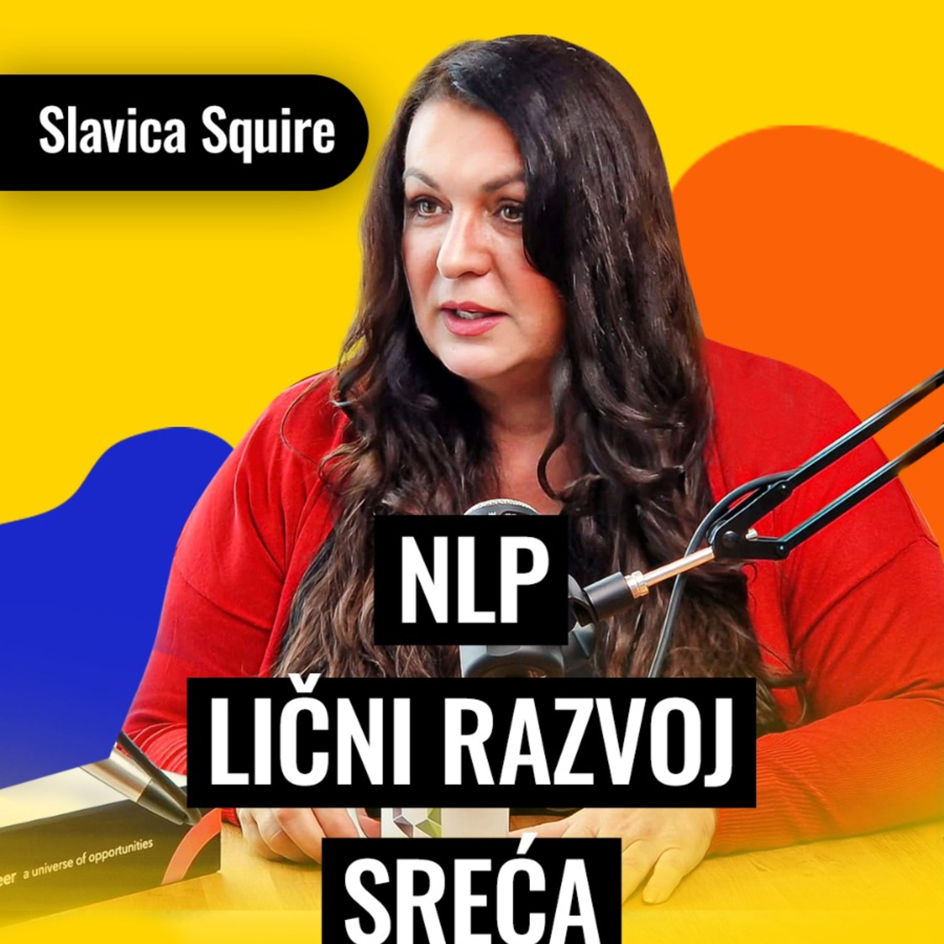 Kako NLP može promeniti život preduzetnika | Slavica Squire | Biznis Priče 88 episode artwork