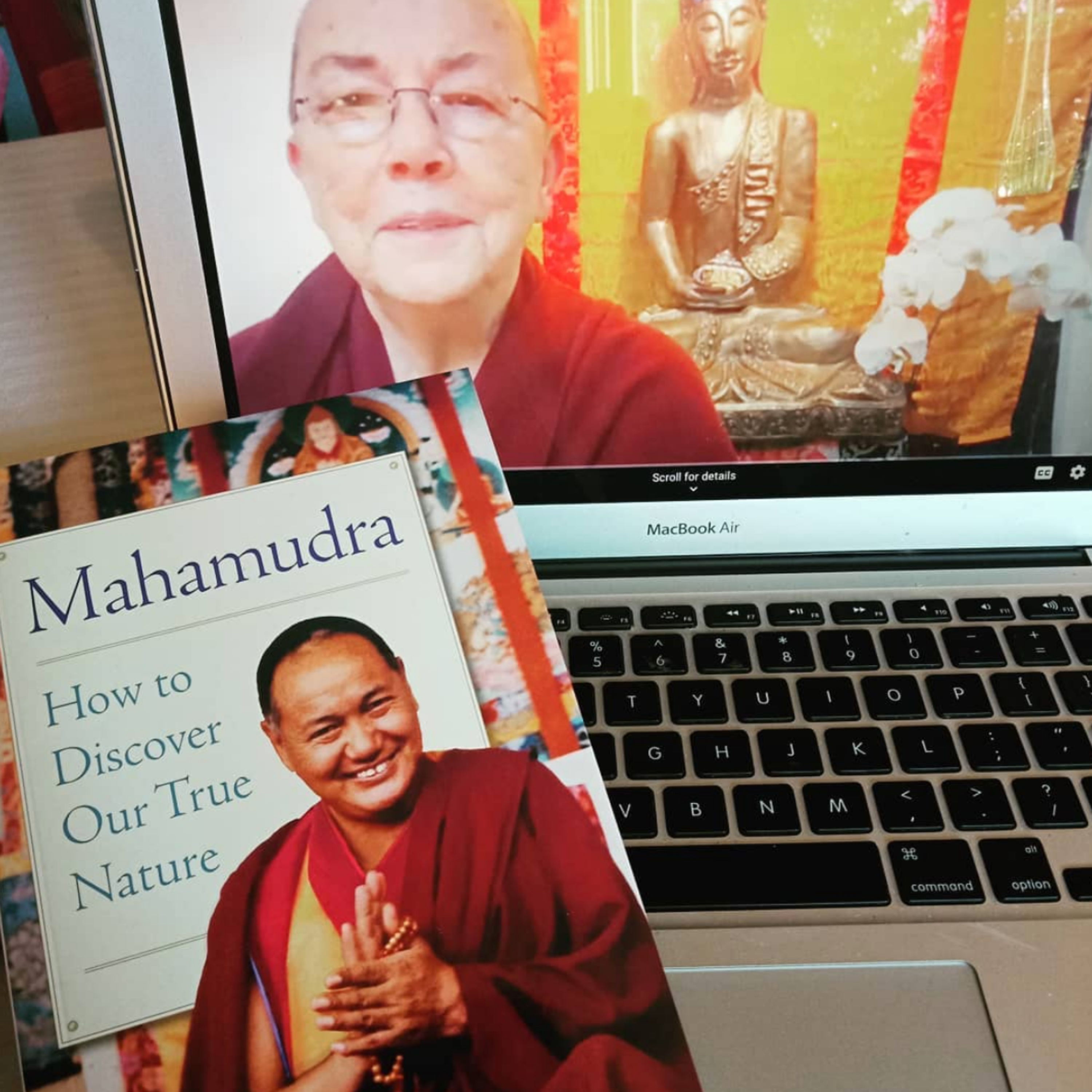 Mind Gardening: becoming a mental botanist!