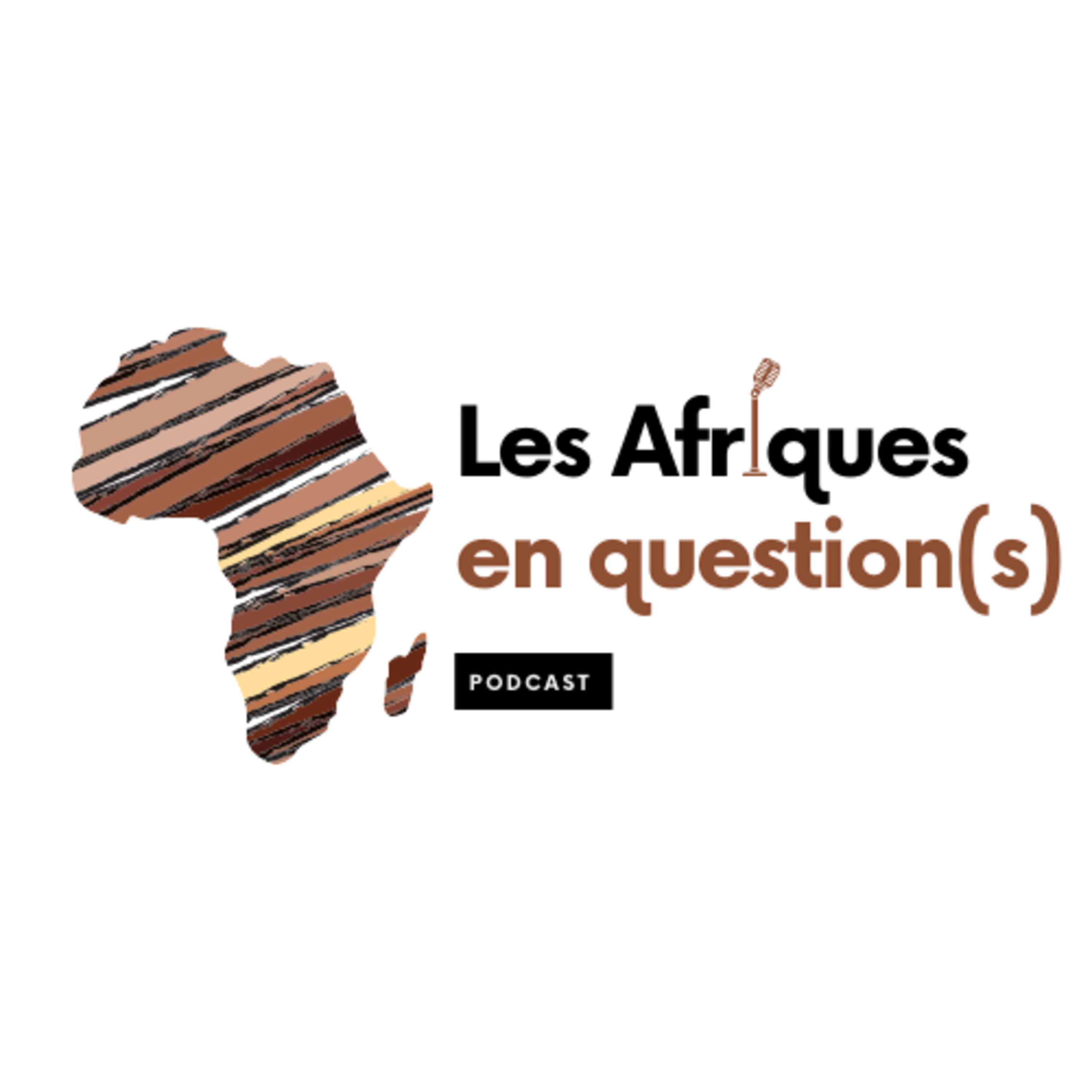 Les Afriques en Question(s)