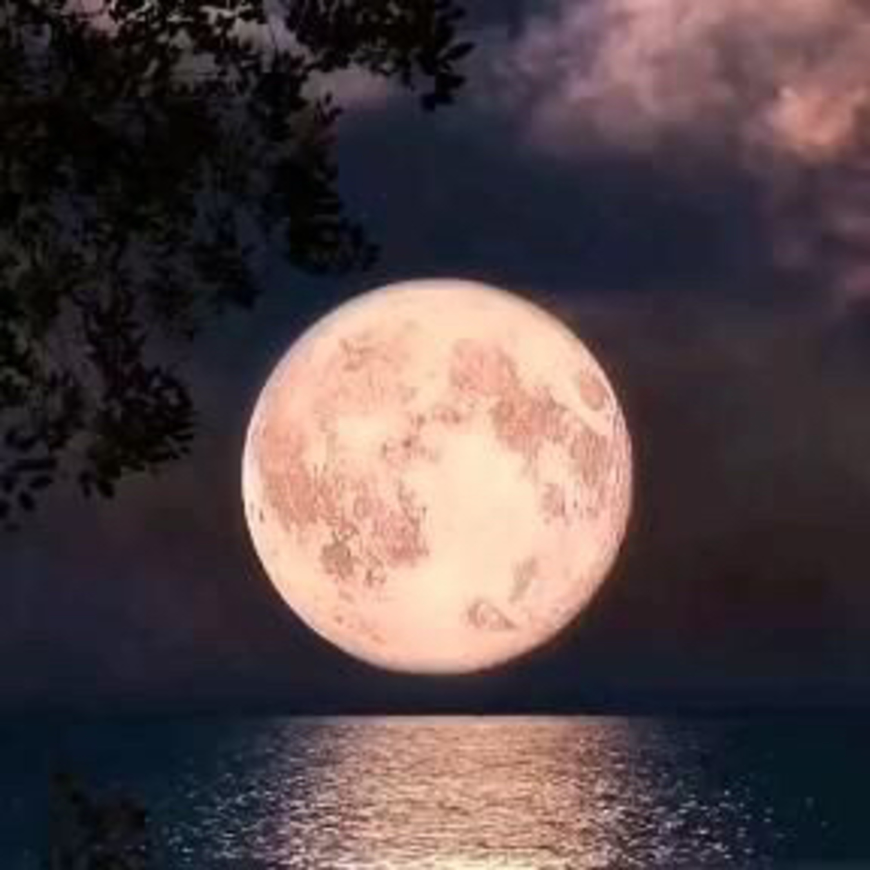 Un Mar de Letras y Sentimientos