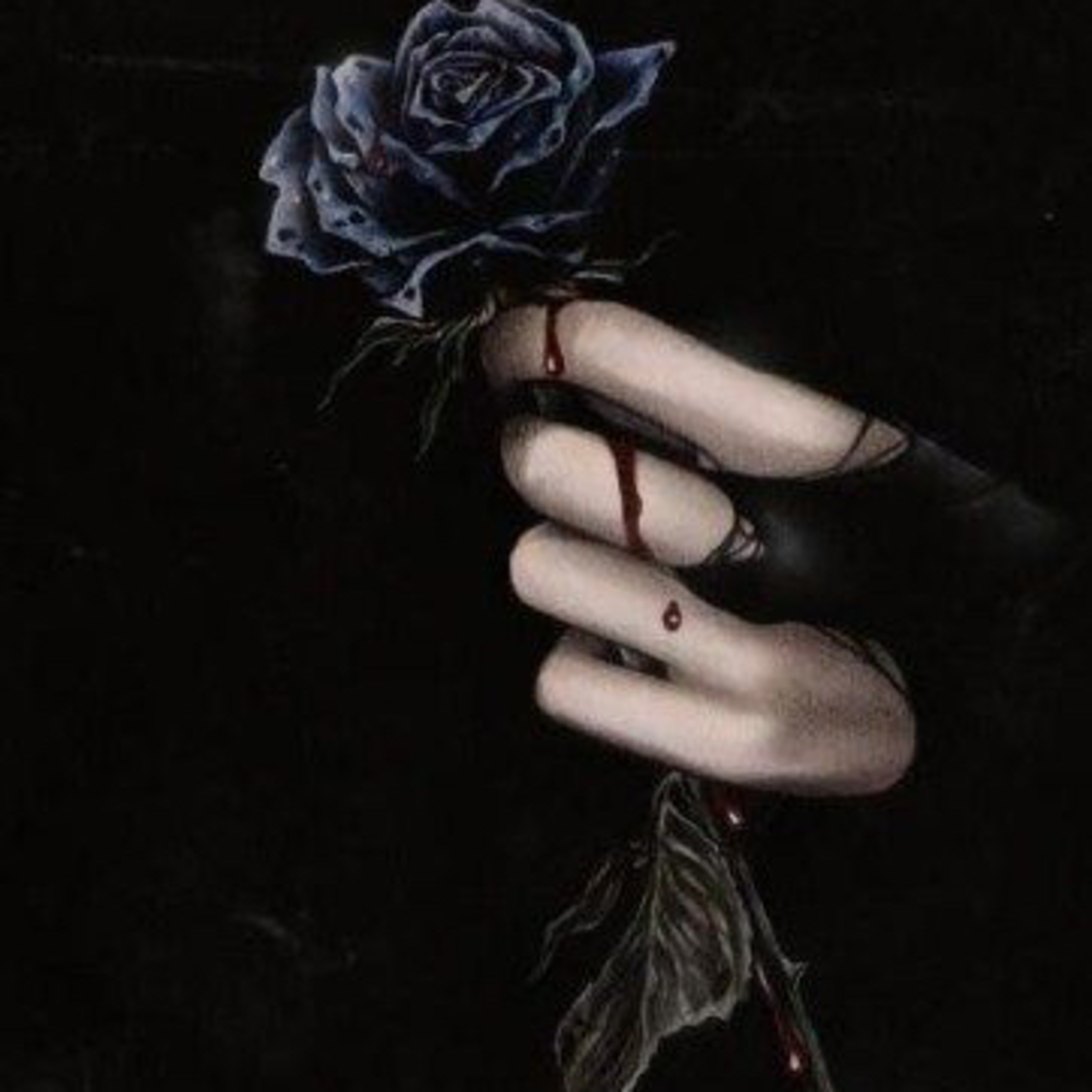 Un Mar de Letras y Sentimientos