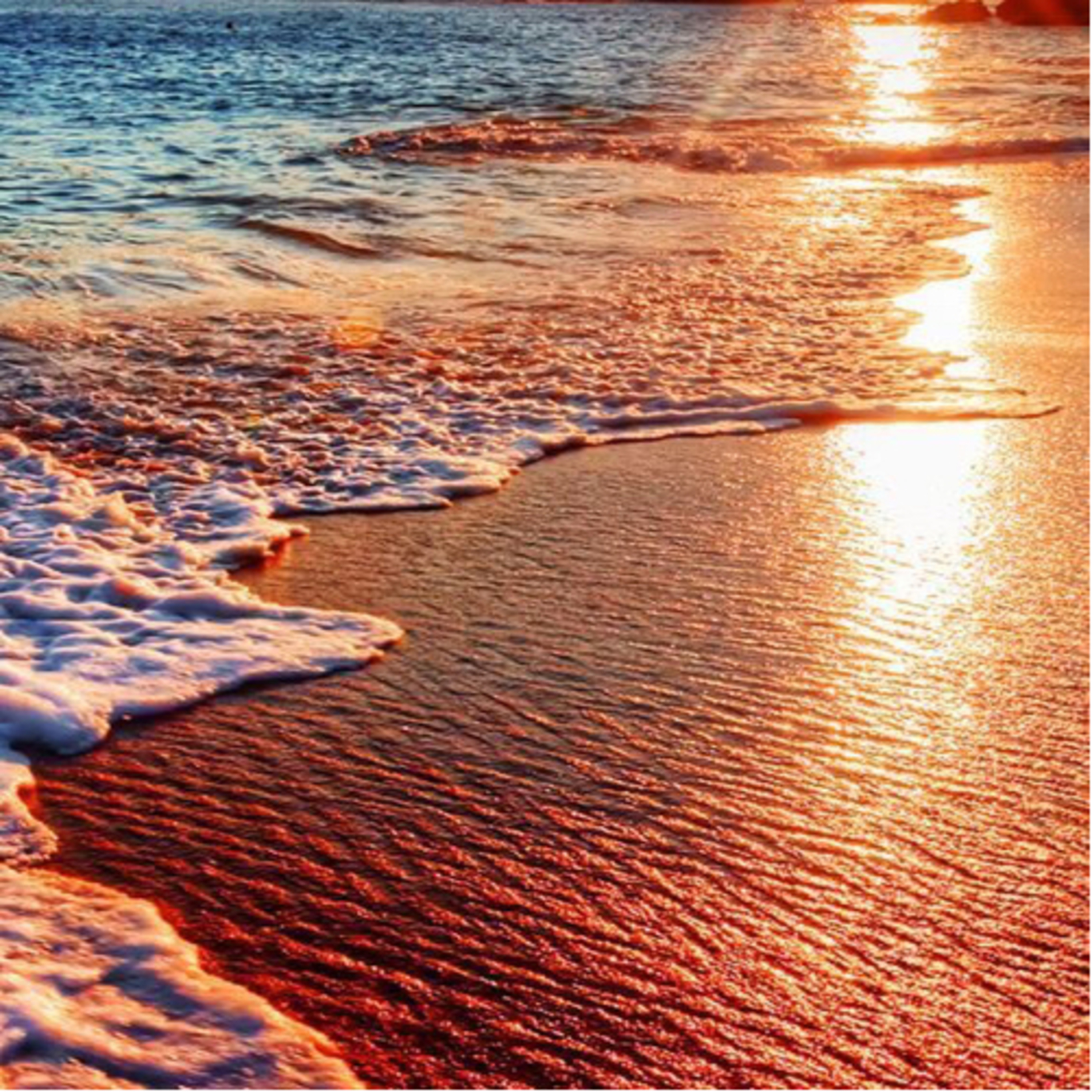 Un Mar de Letras y Sentimientos