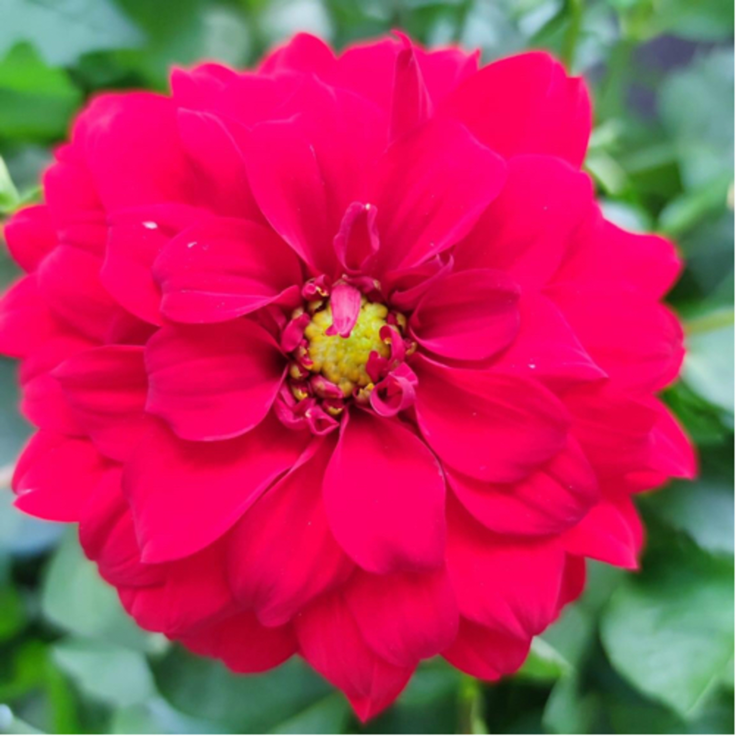 Un Mar de Letras y Sentimientos