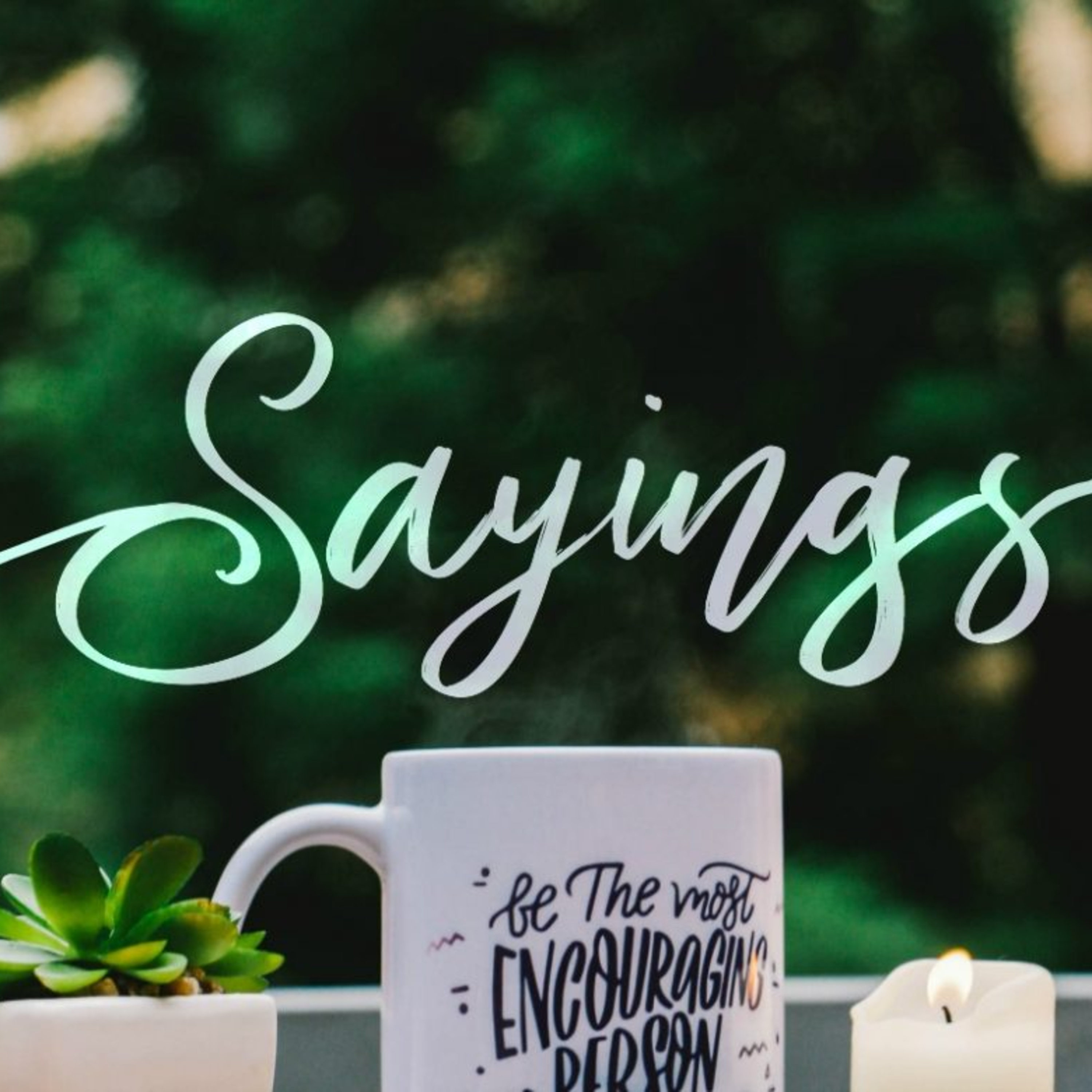 Sayings and Their lexical Meaning