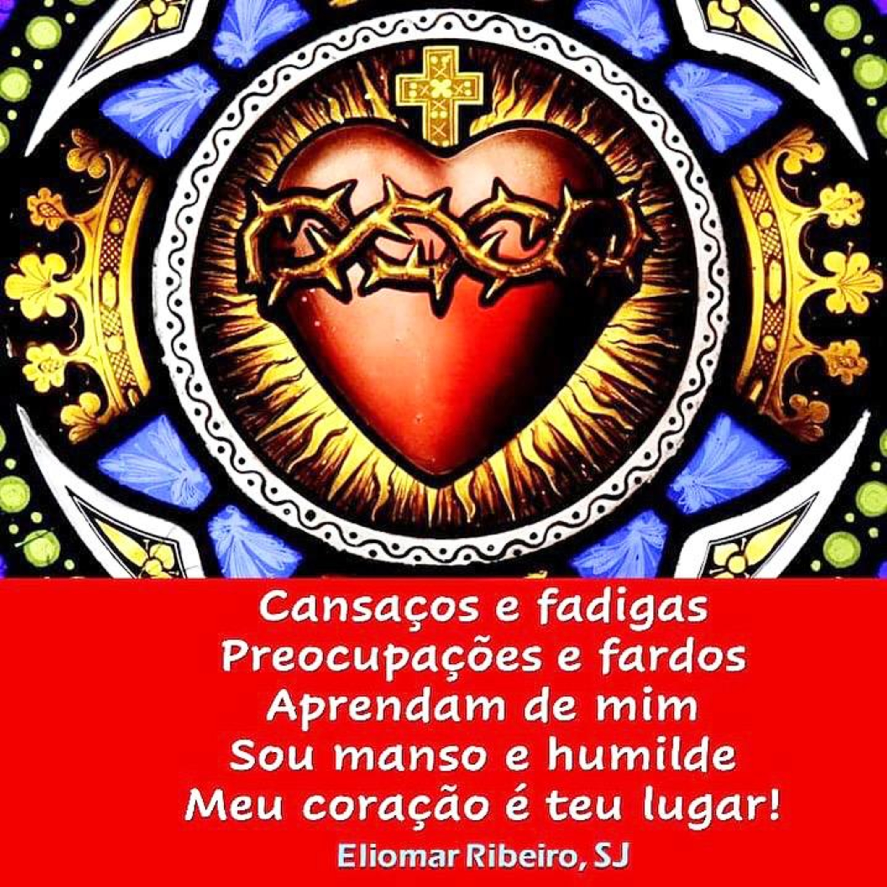 A busca permanente da verdade é uma característica do ser humano. episode artwork