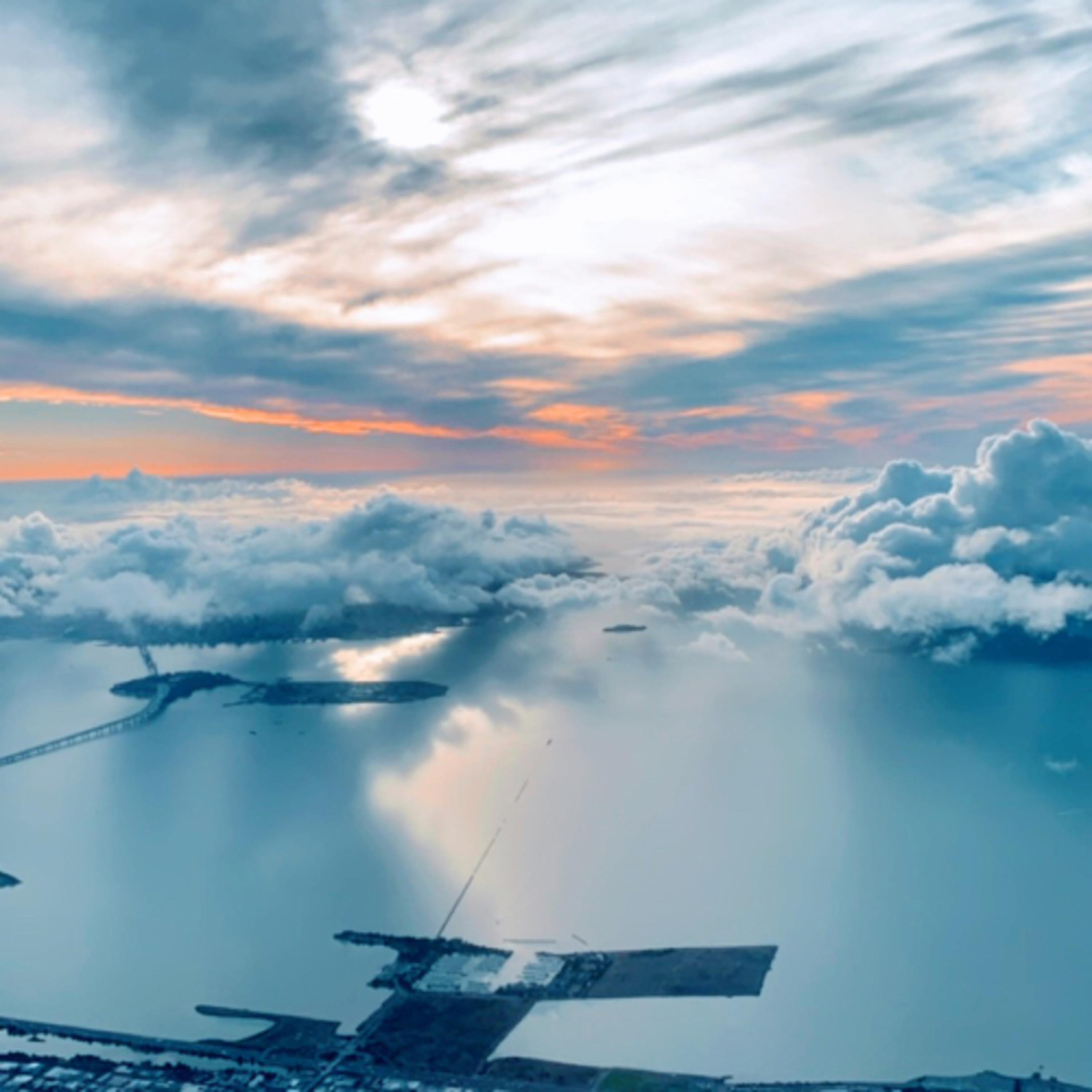 Law School with Petey