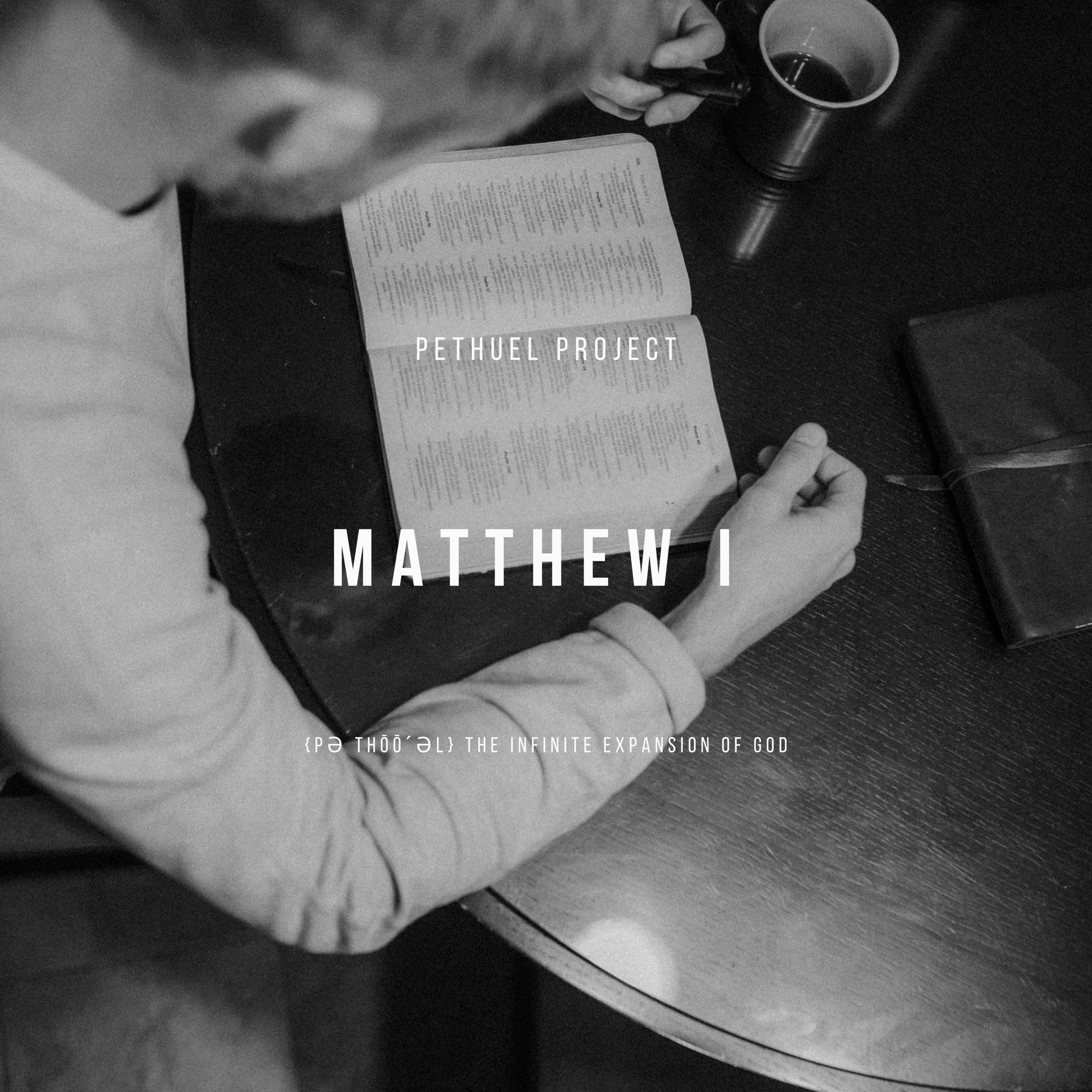 Pethuel Project