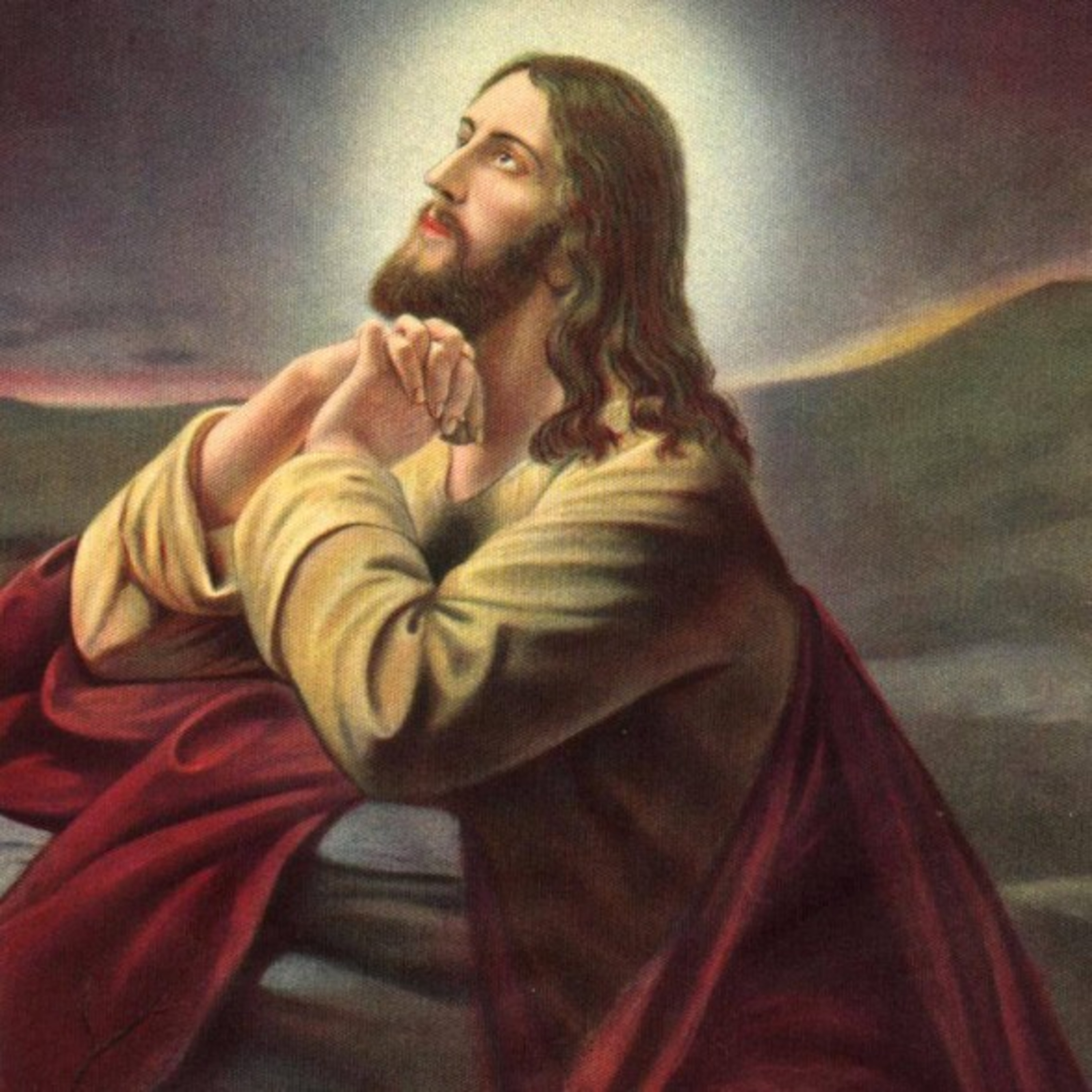 Paladino da Imaculada (Liturgia)