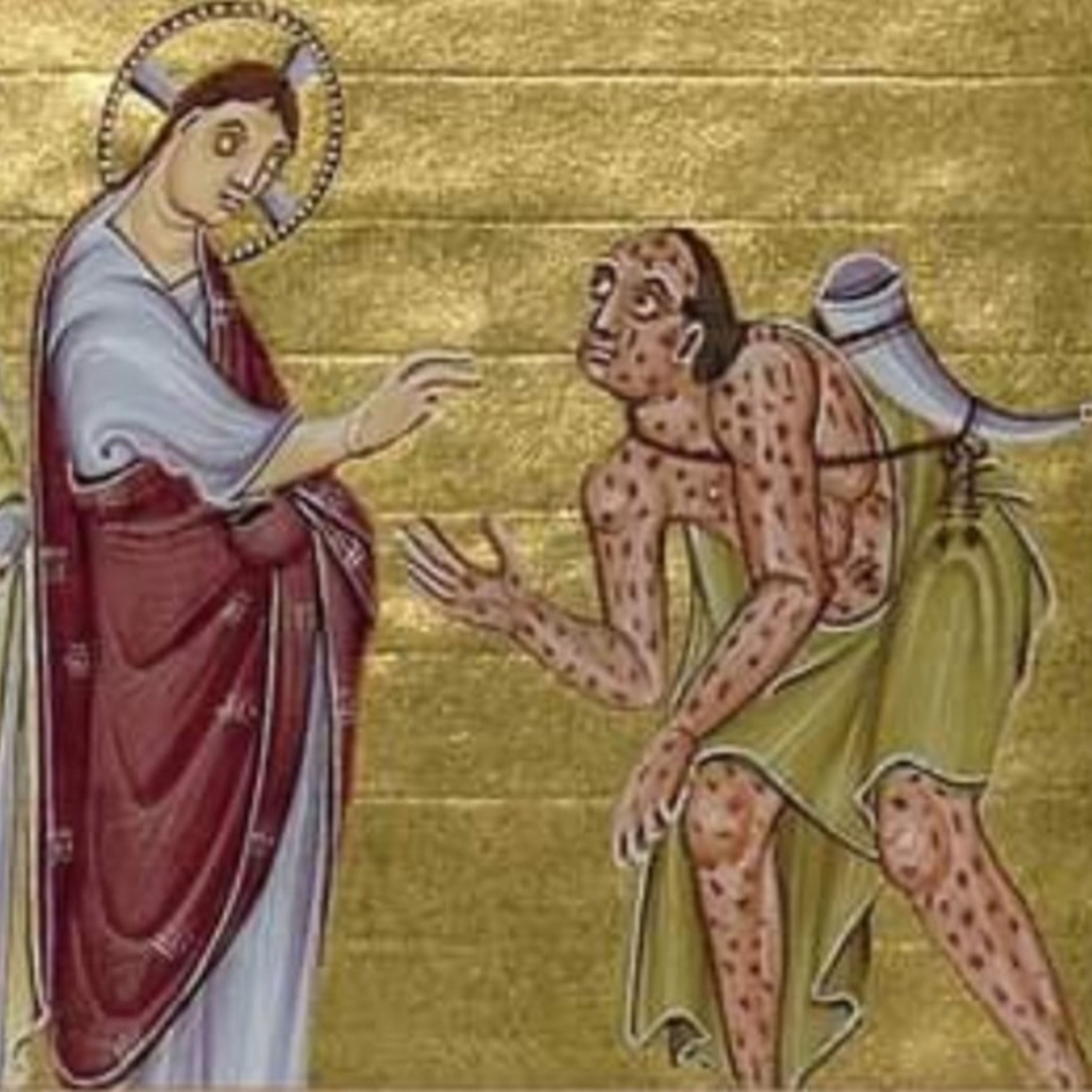 Paladino da Imaculada (Liturgia)