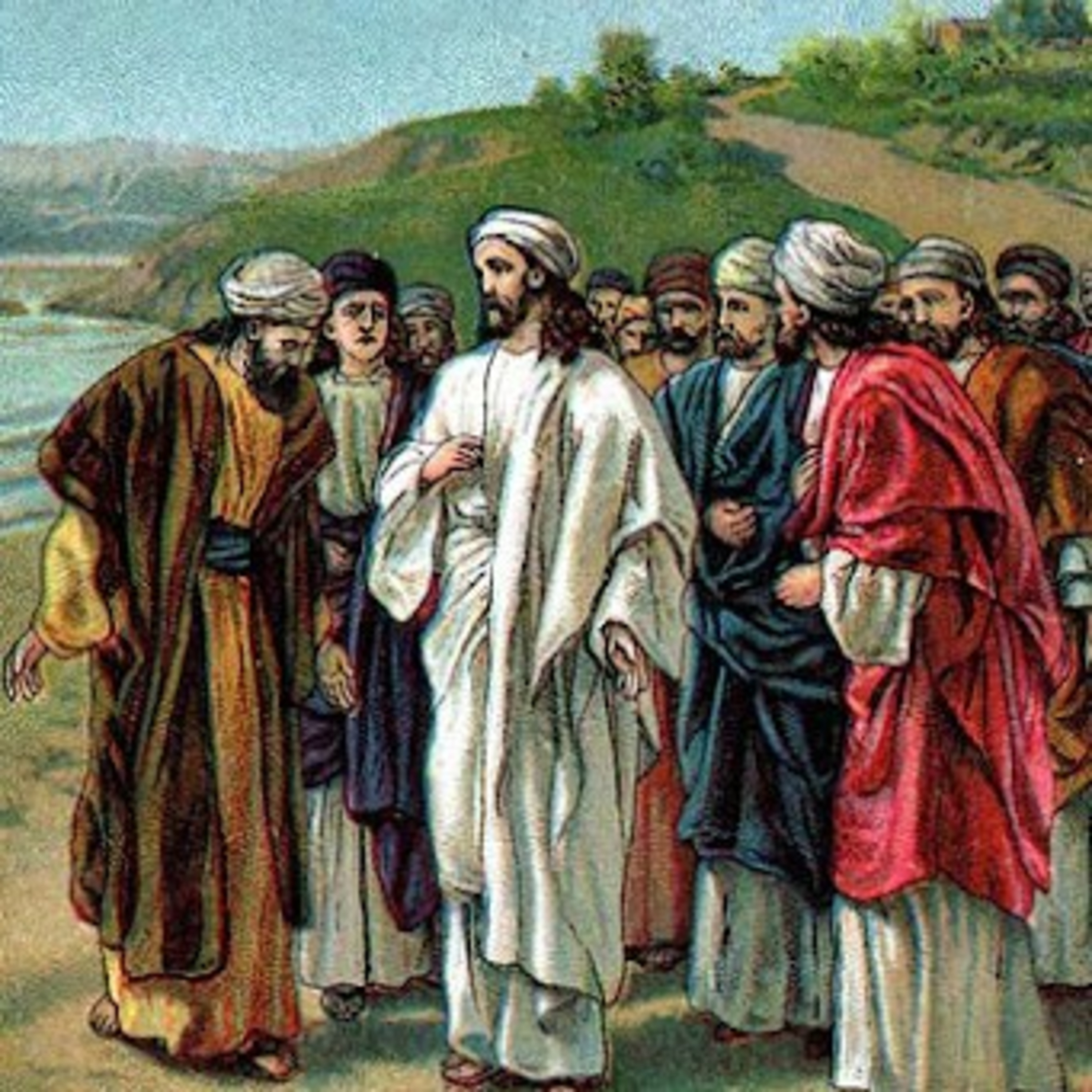 Paladino da Imaculada (Liturgia)