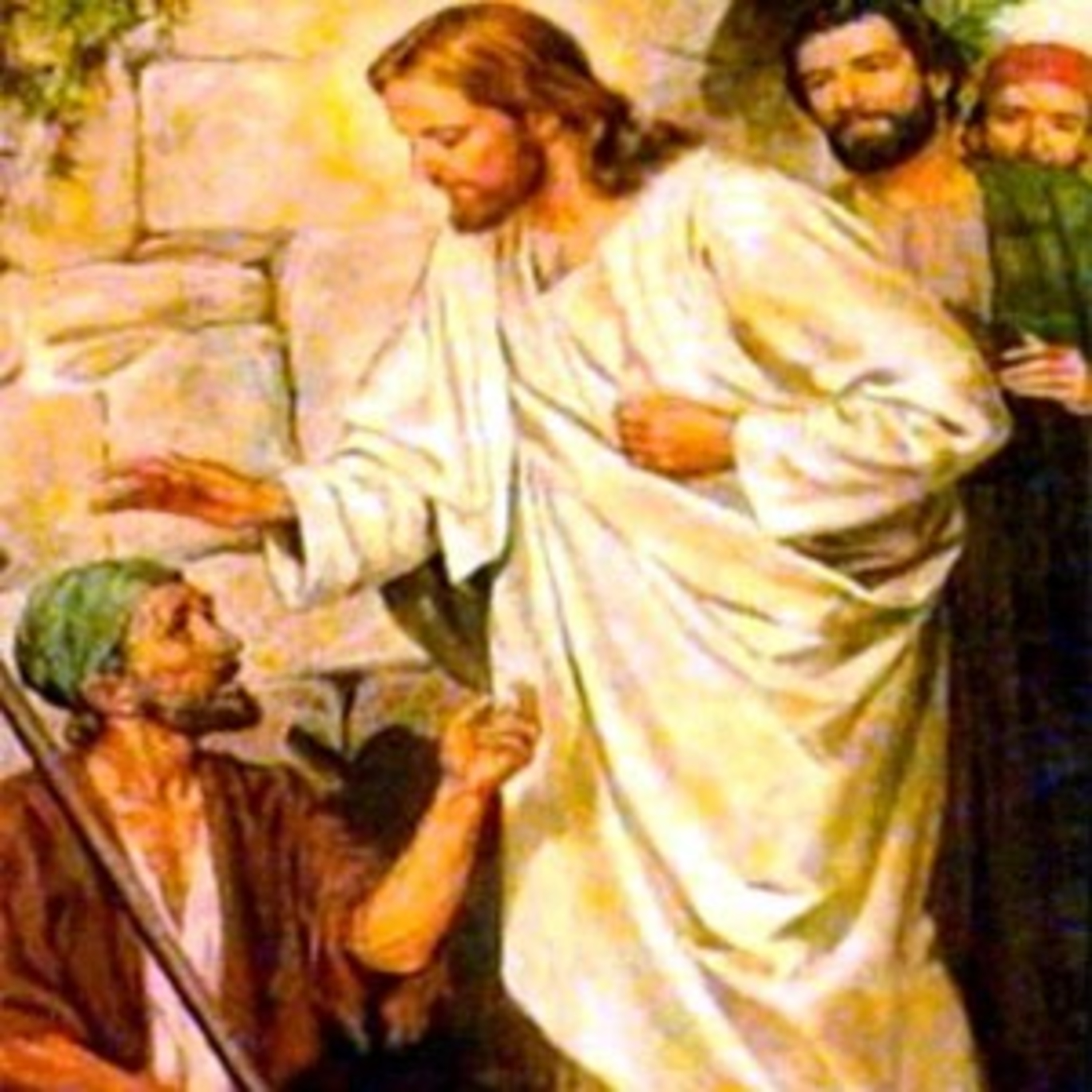 Paladino da Imaculada (Liturgia)