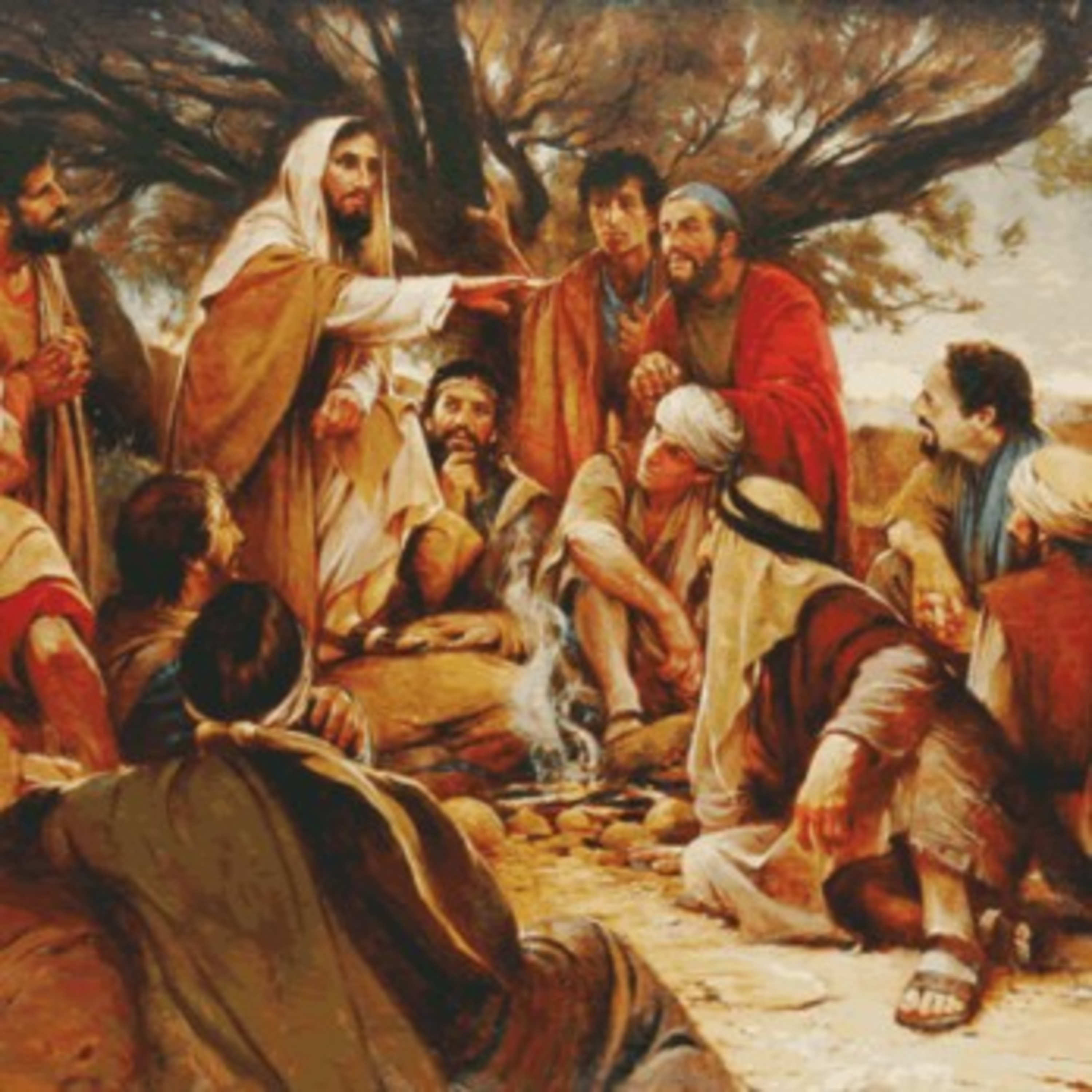 Paladino da Imaculada (Liturgia)