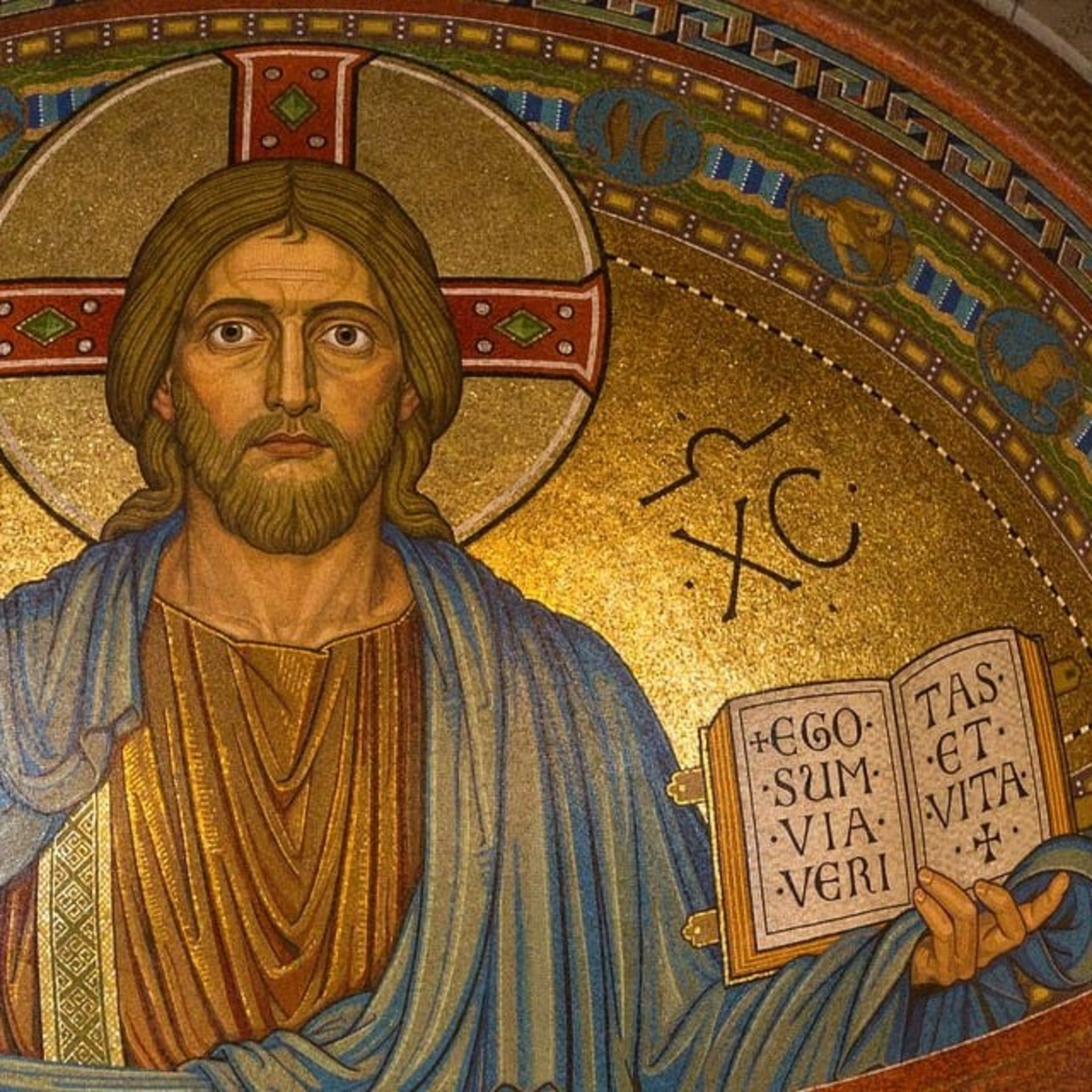 Paladino da Imaculada (Liturgia)