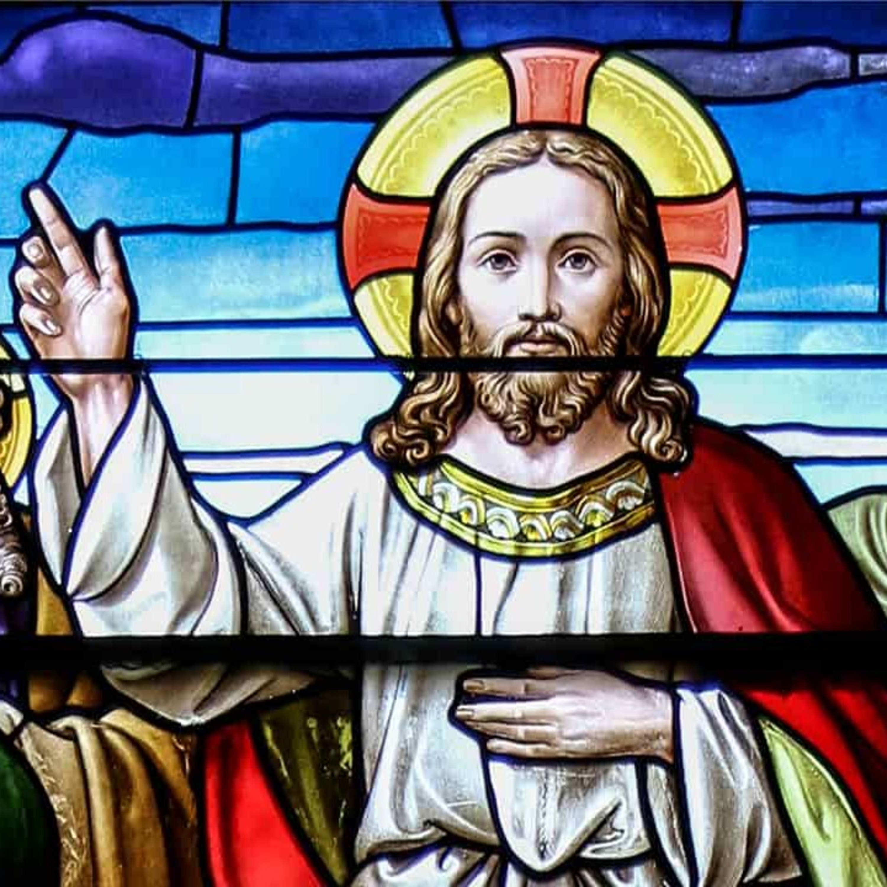 Paladino da Imaculada (Liturgia)