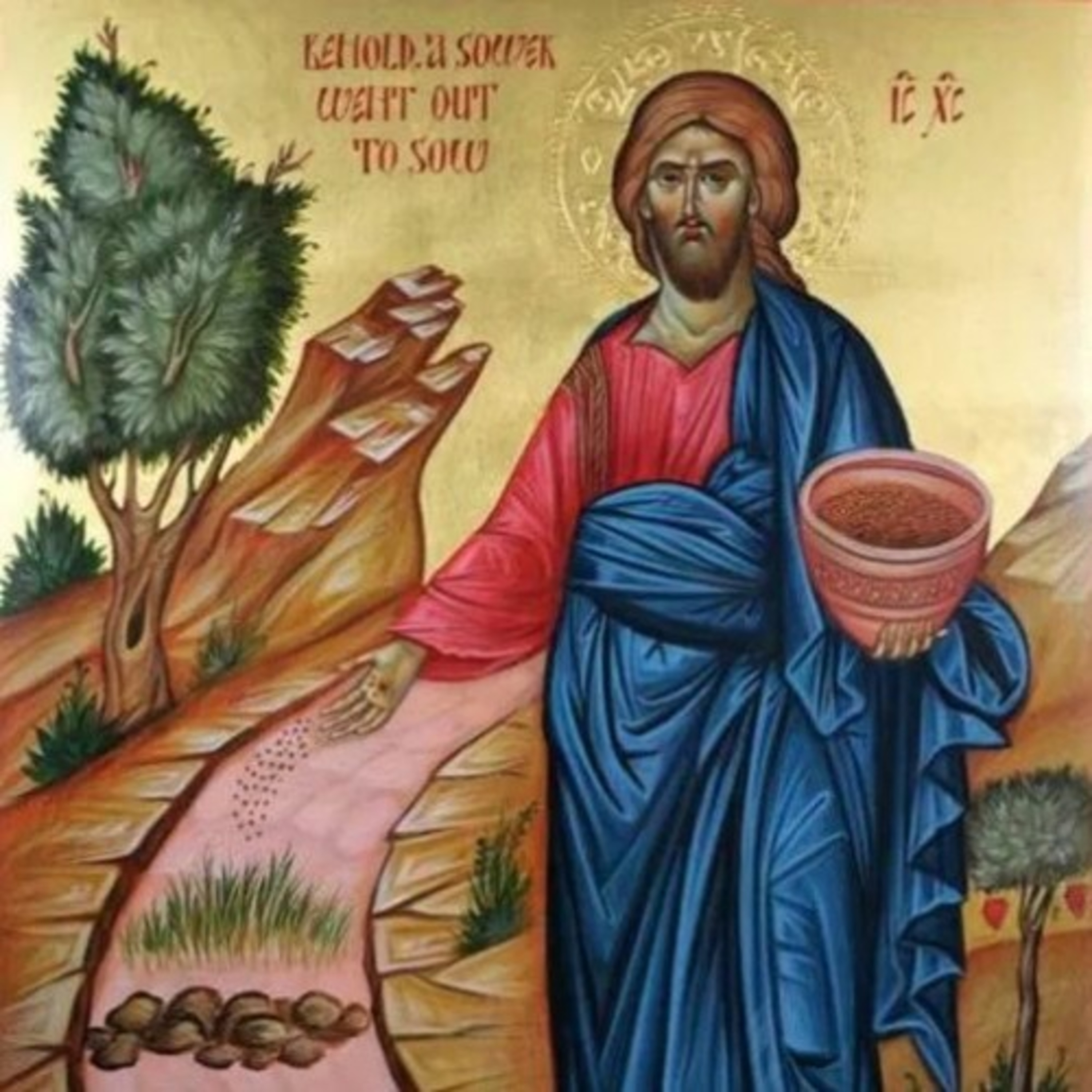 Paladino da Imaculada (Liturgia)