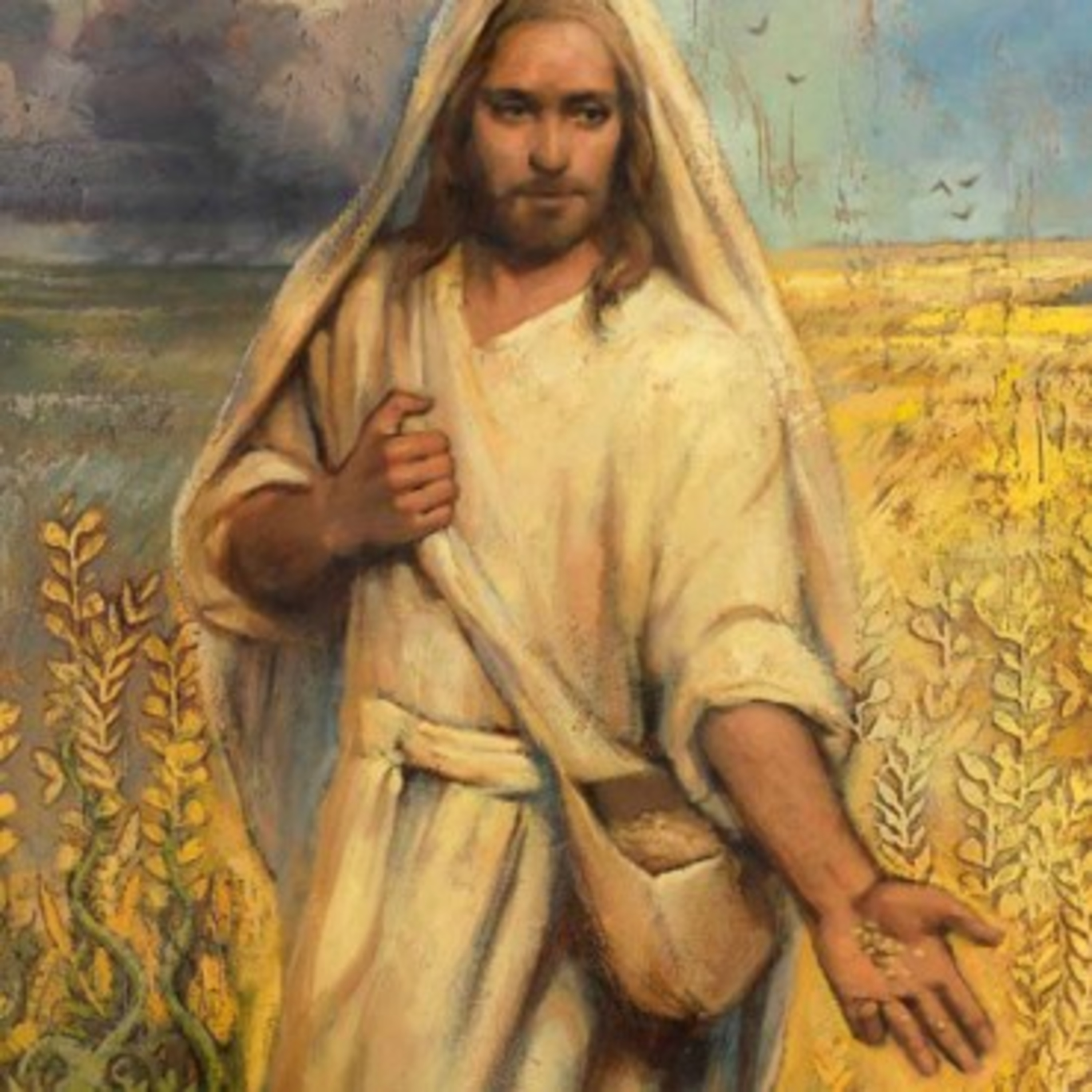 Paladino da Imaculada (Liturgia)