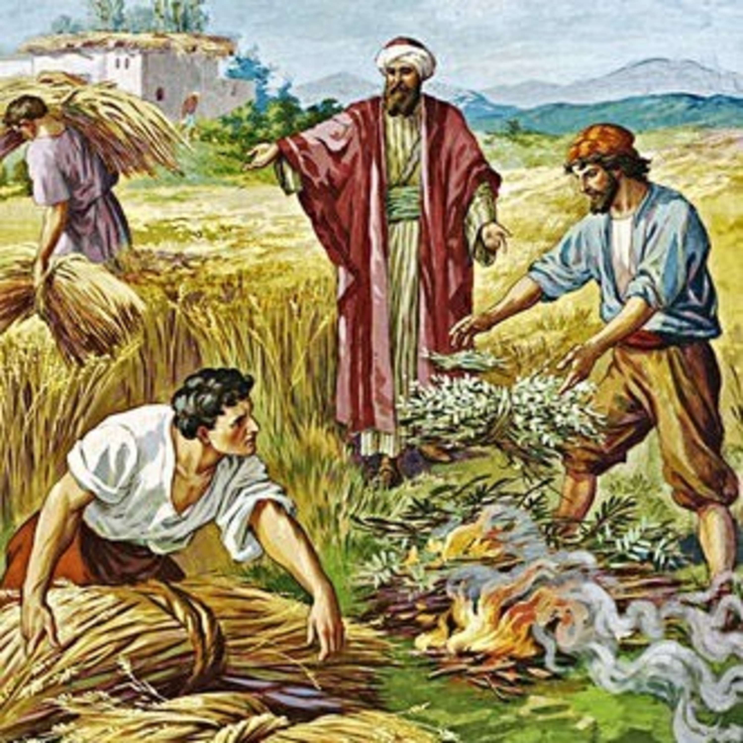 Paladino da Imaculada (Liturgia)