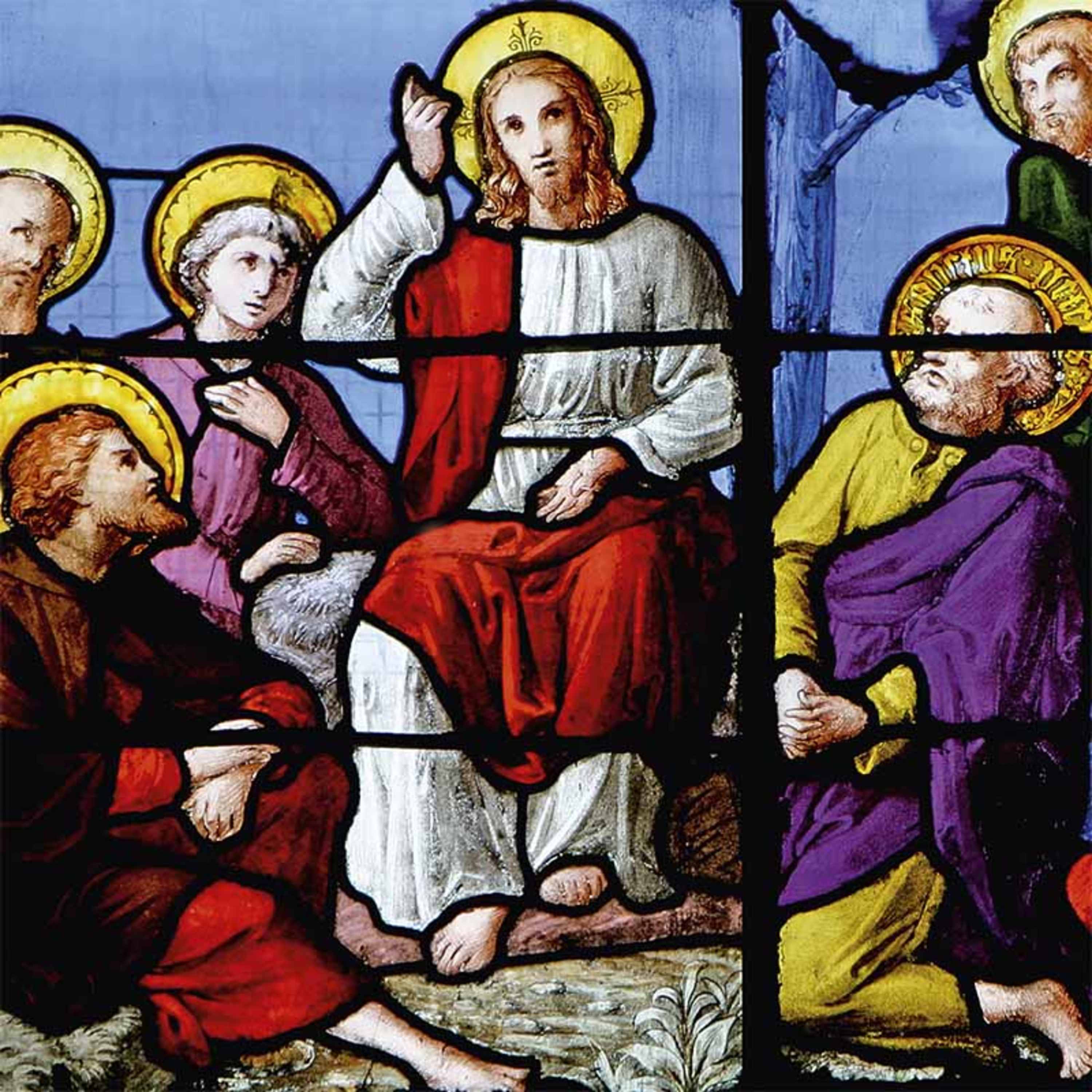 Paladino da Imaculada (Liturgia)