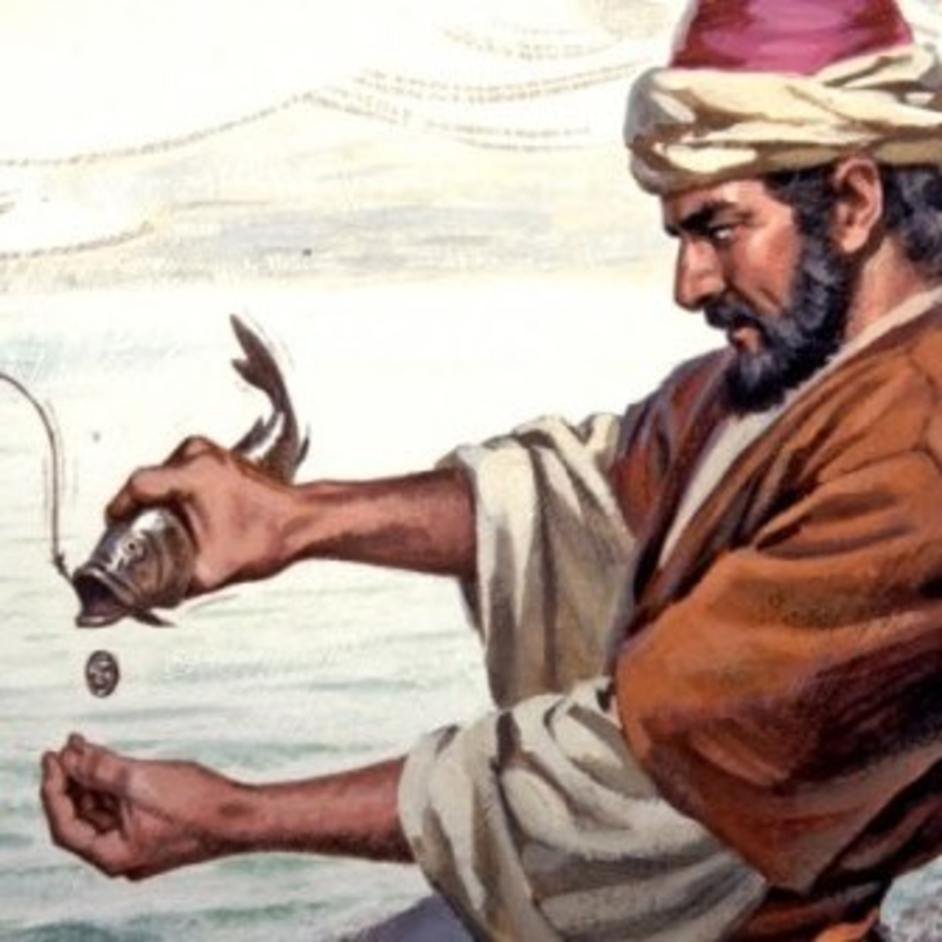 Paladino da Imaculada (Liturgia)