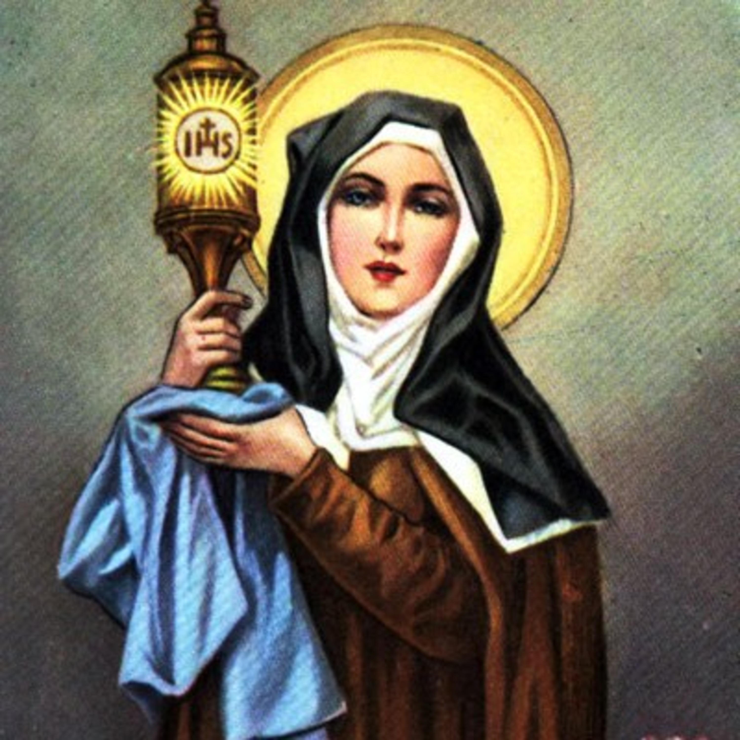 Paladino da Imaculada (Liturgia)