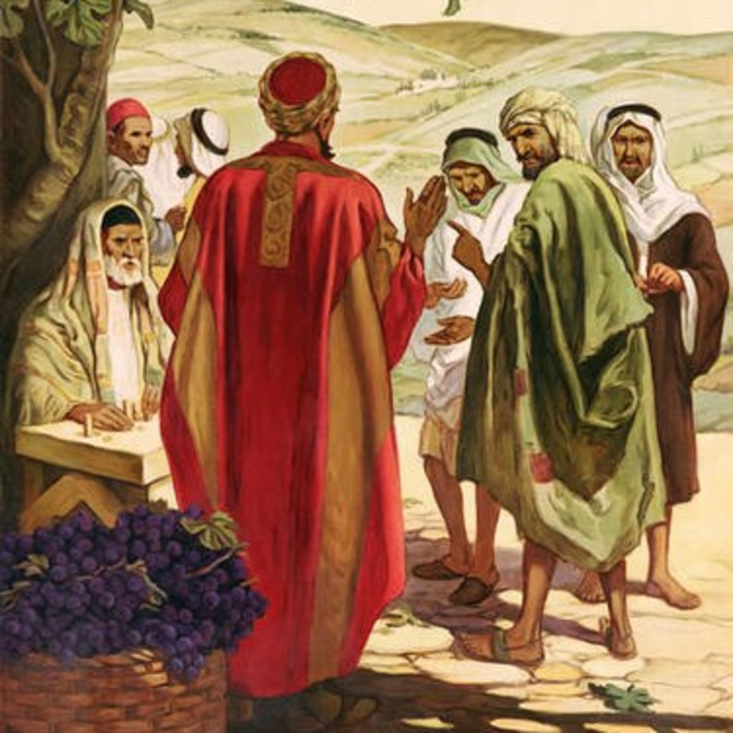 Paladino da Imaculada (Liturgia)