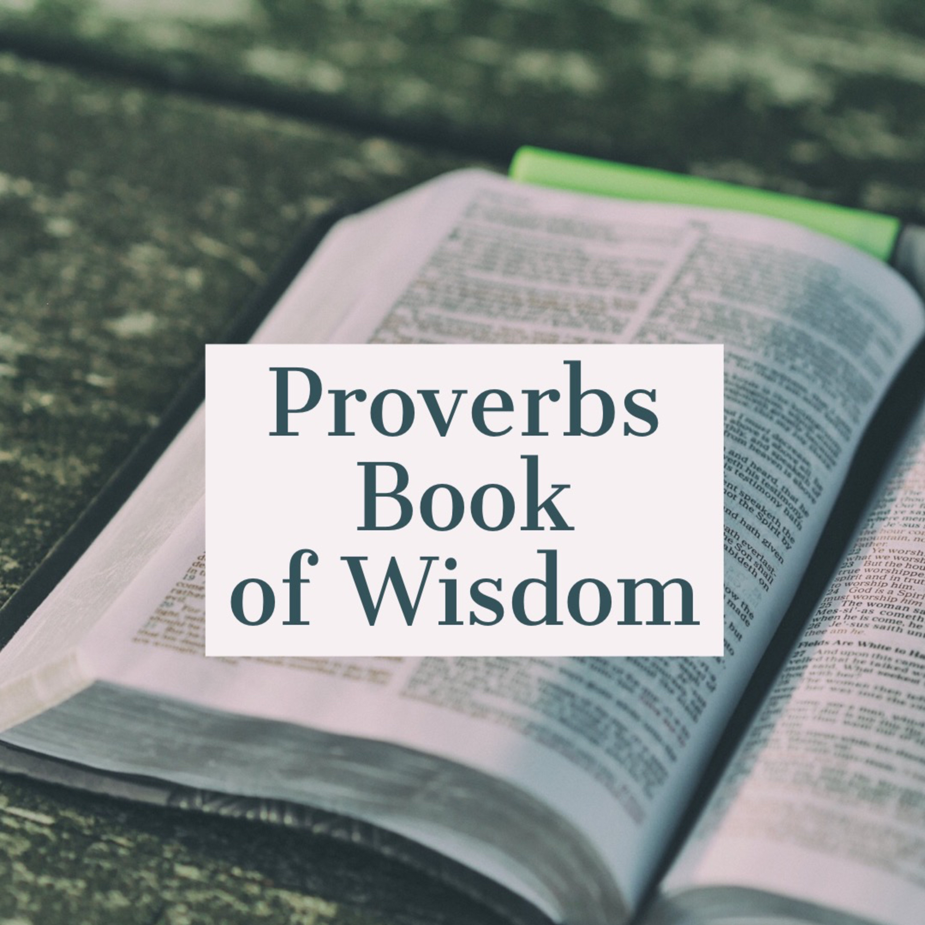Proverbs Life Wisdom episode artwork