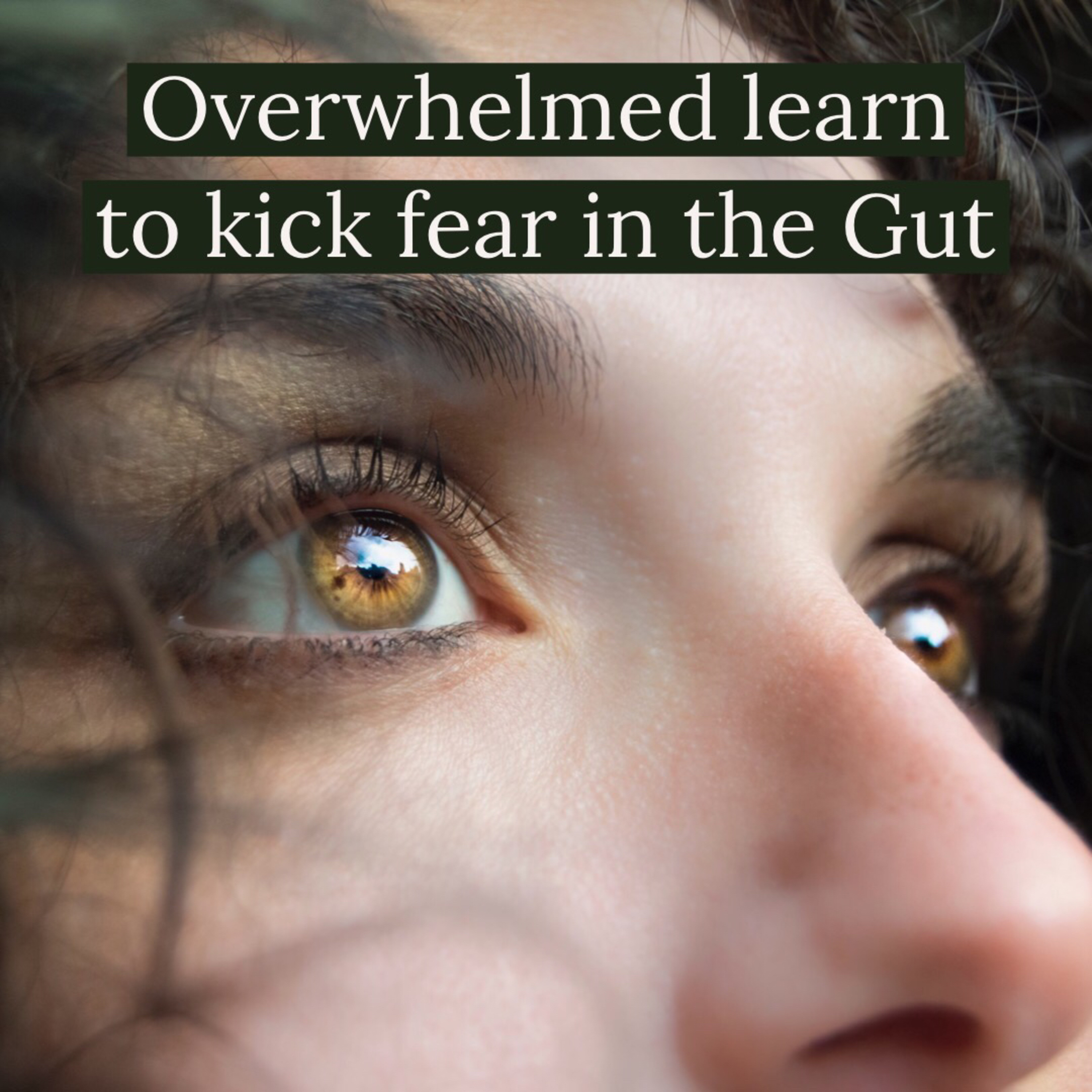 Kick Fear in the Gut episode artwork