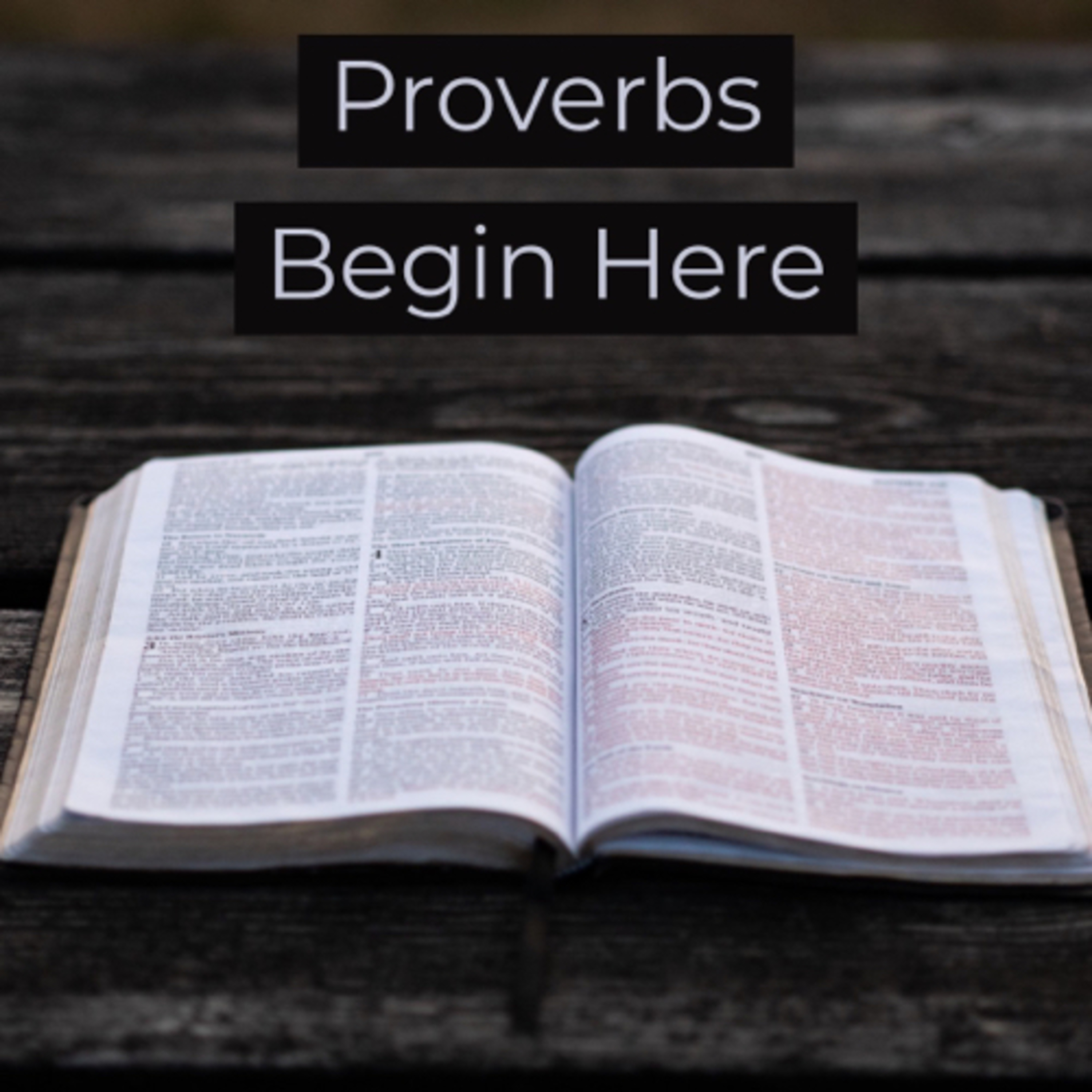 Proverbs Will Change Your Life episode artwork