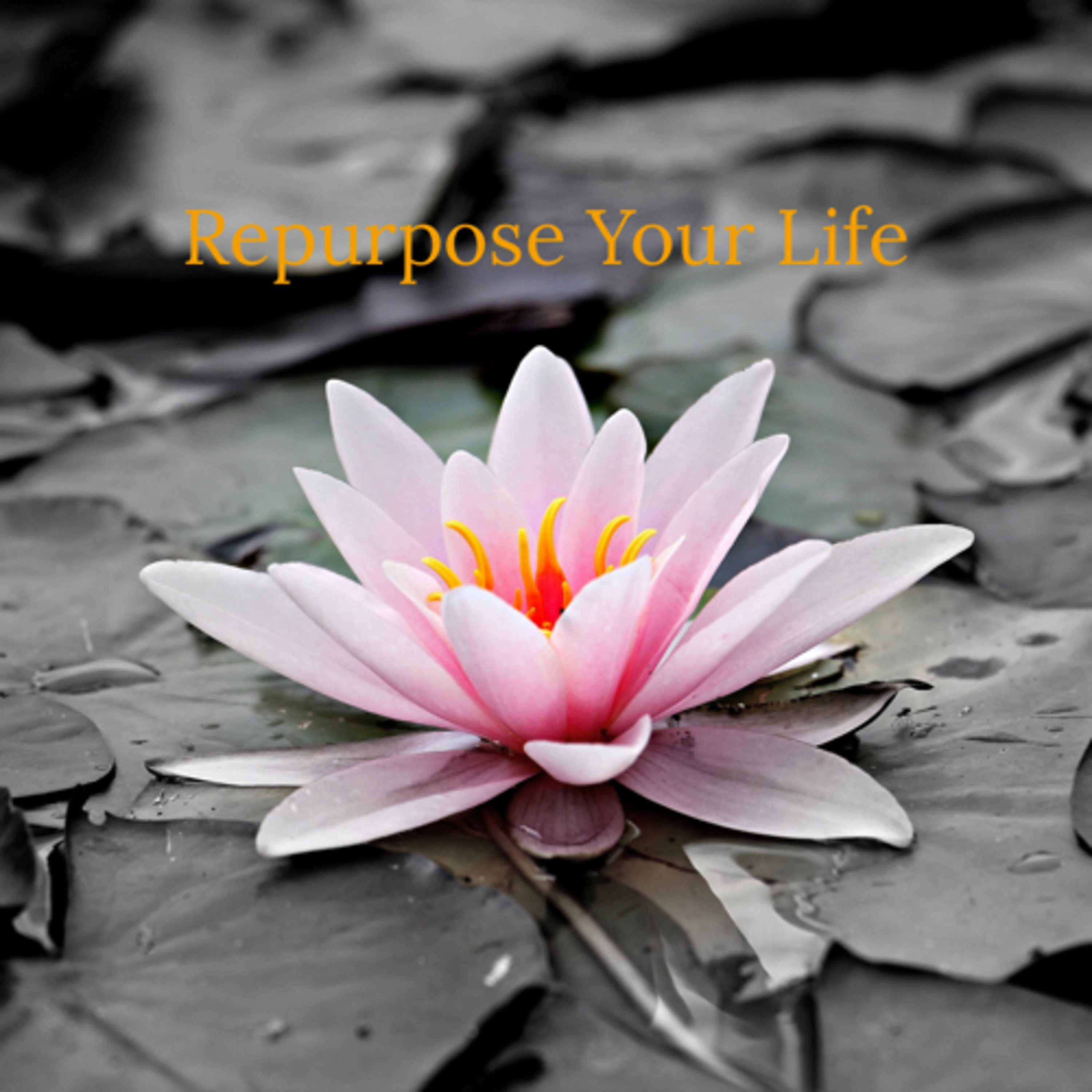 Repurpose Your Life  episode artwork