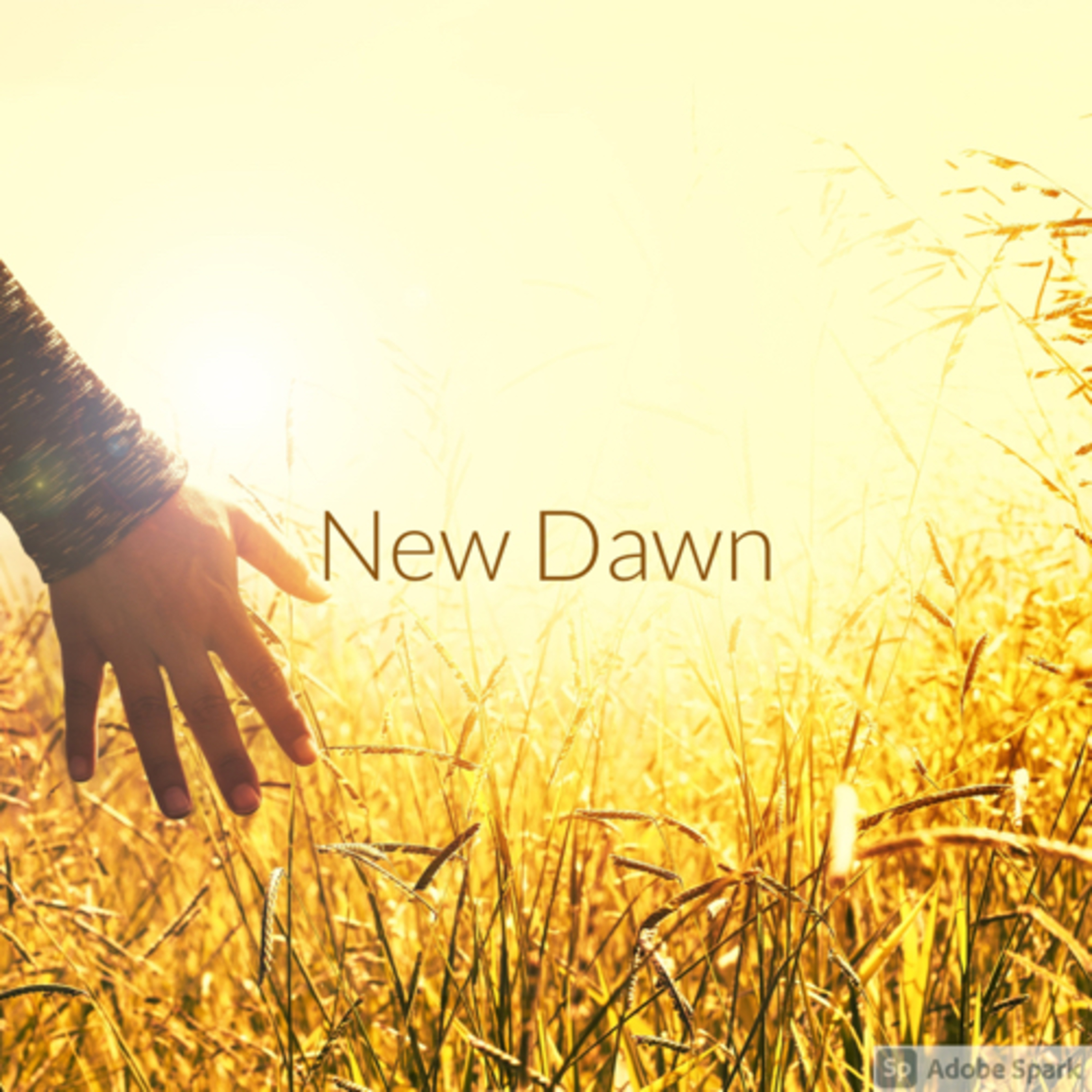 New Dawn episode artwork