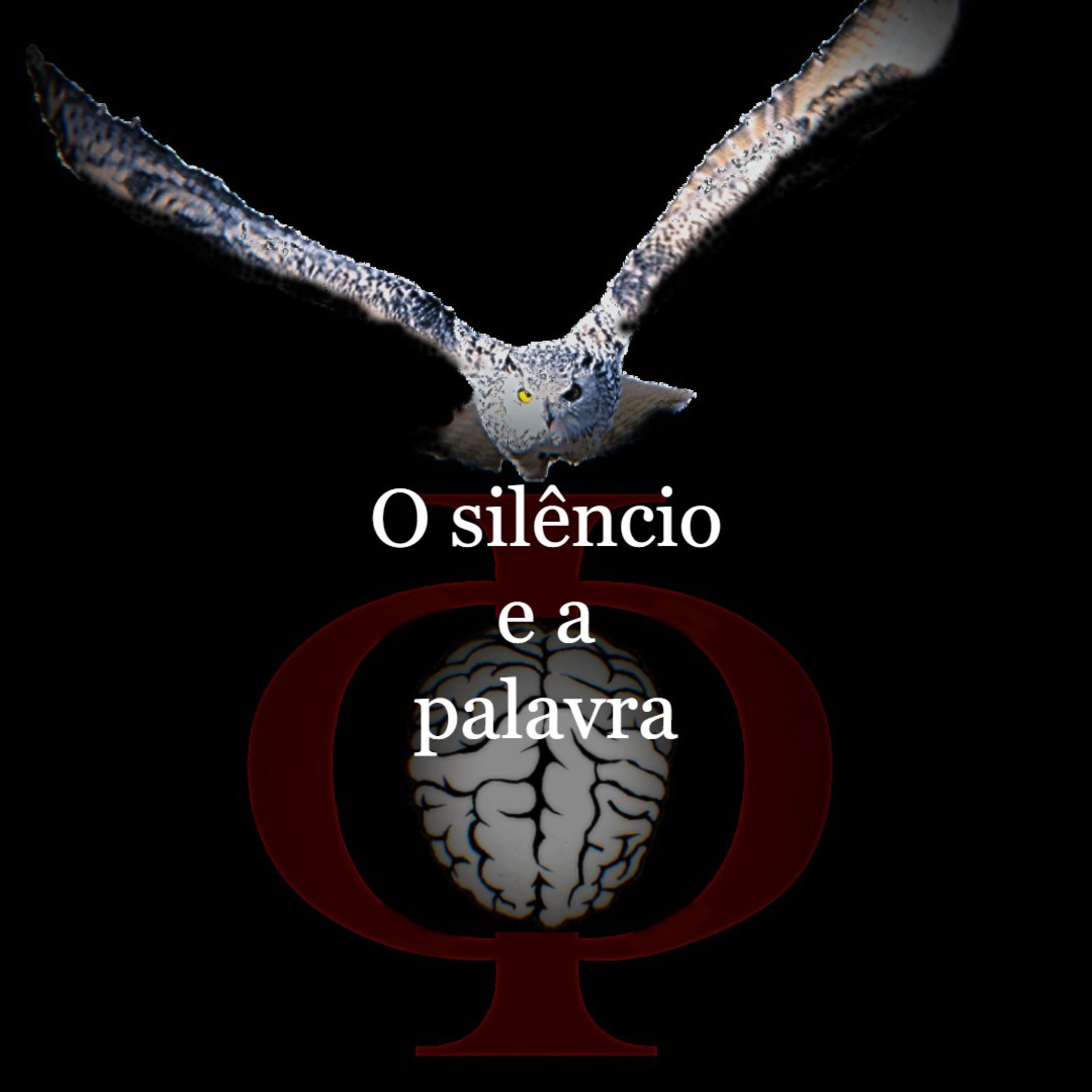 Das provocações à razão