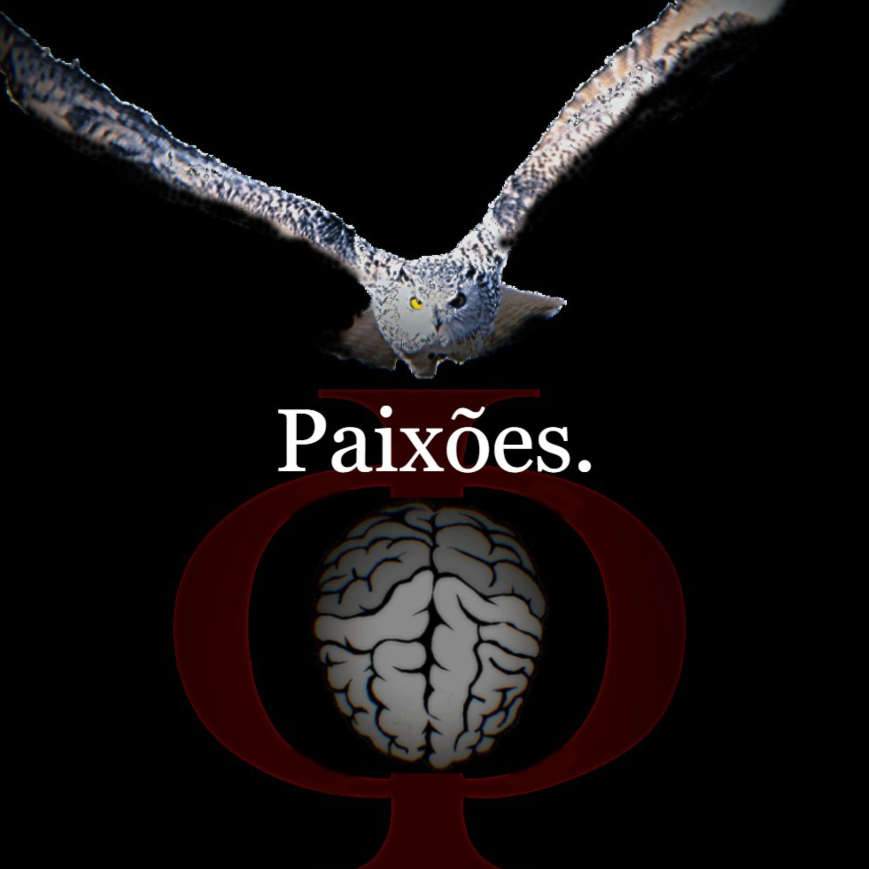 Das provocações à razão